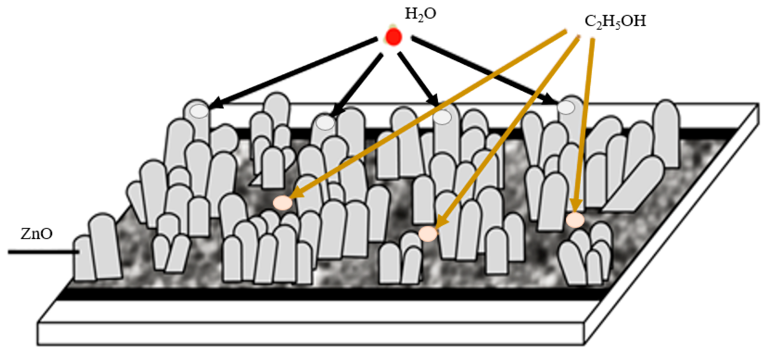 Engproc 82 00098 g004