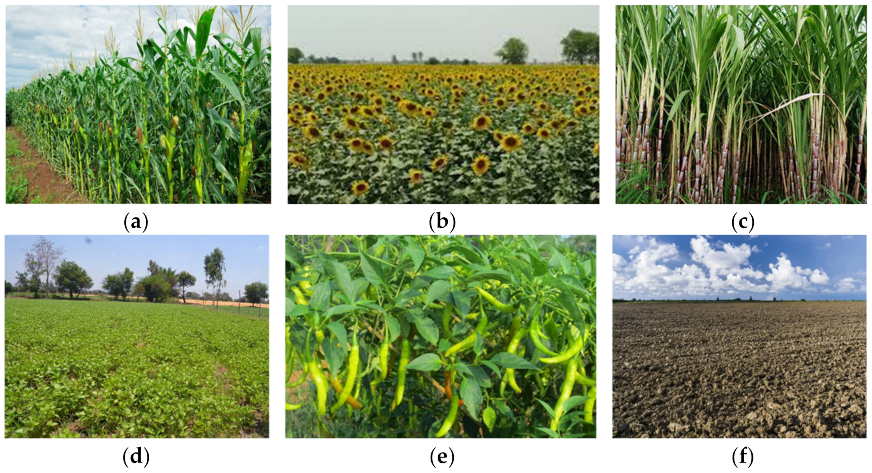 Engproc 82 00107 g002