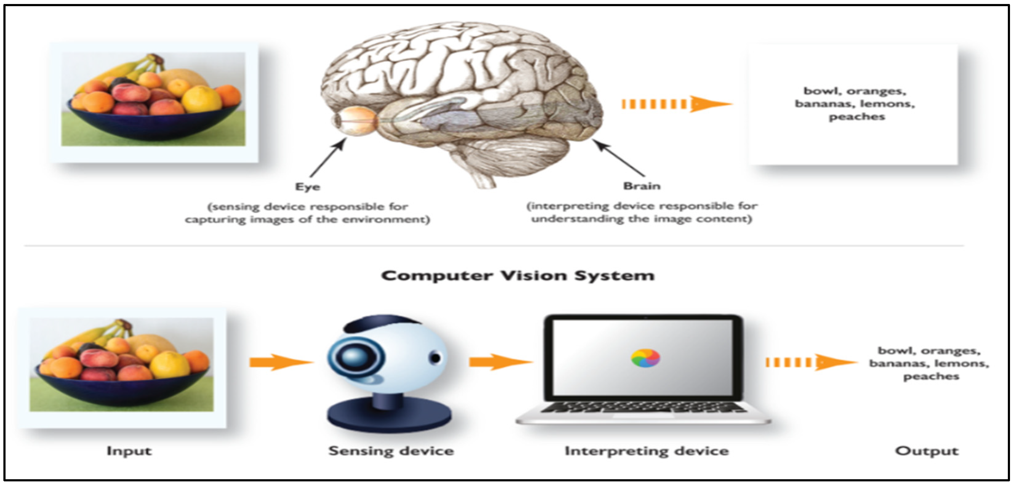 Engproc 82 00117 g001