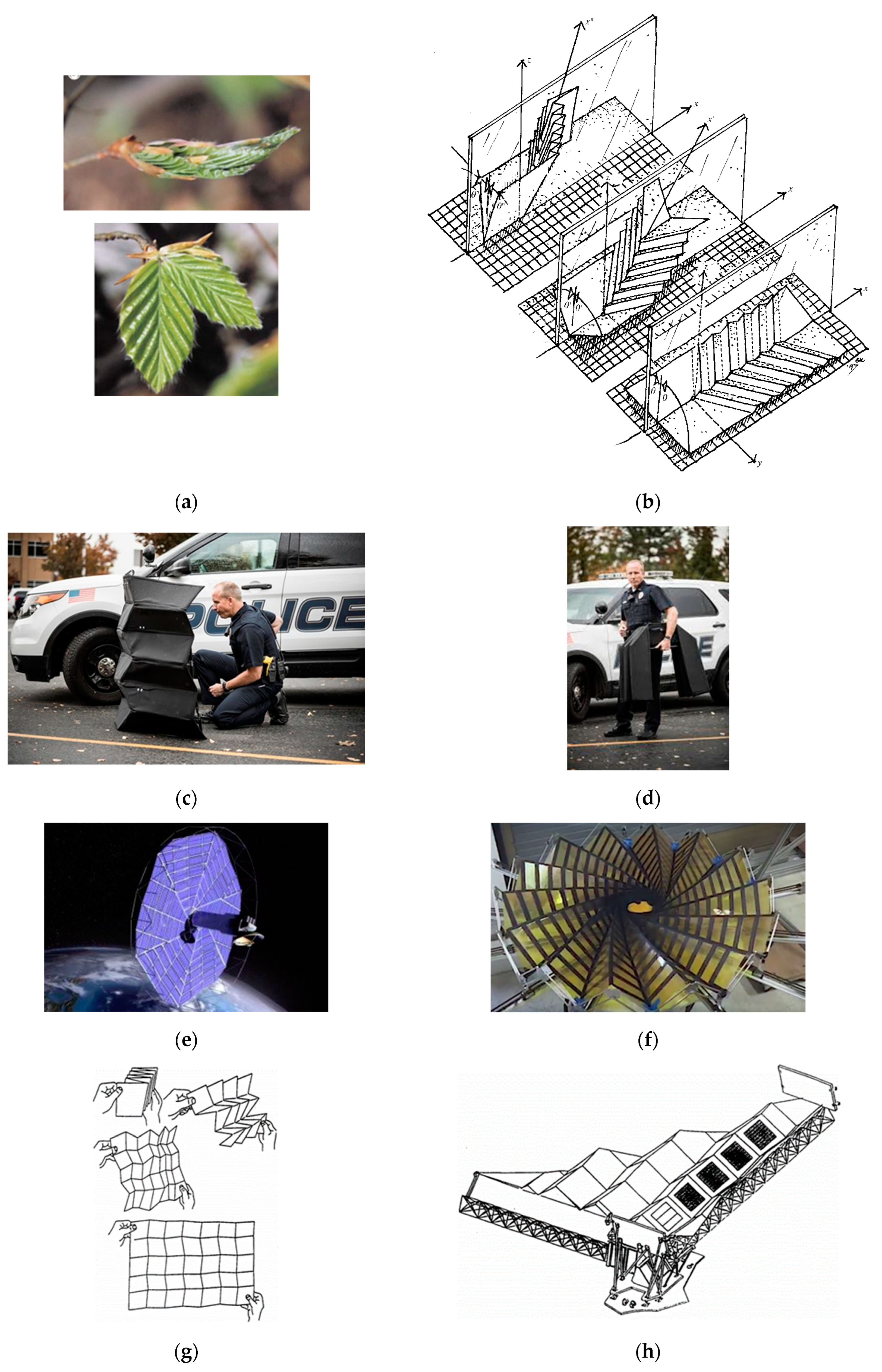 Engproc 83 00026 g002