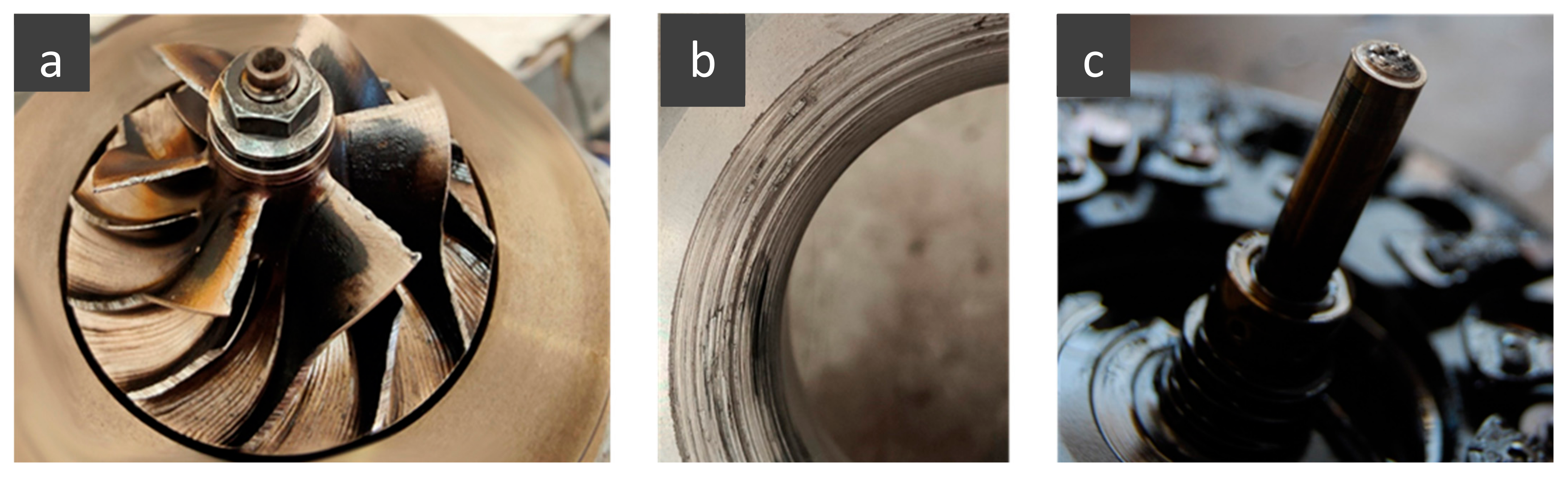 Engproc 85 00008 g007