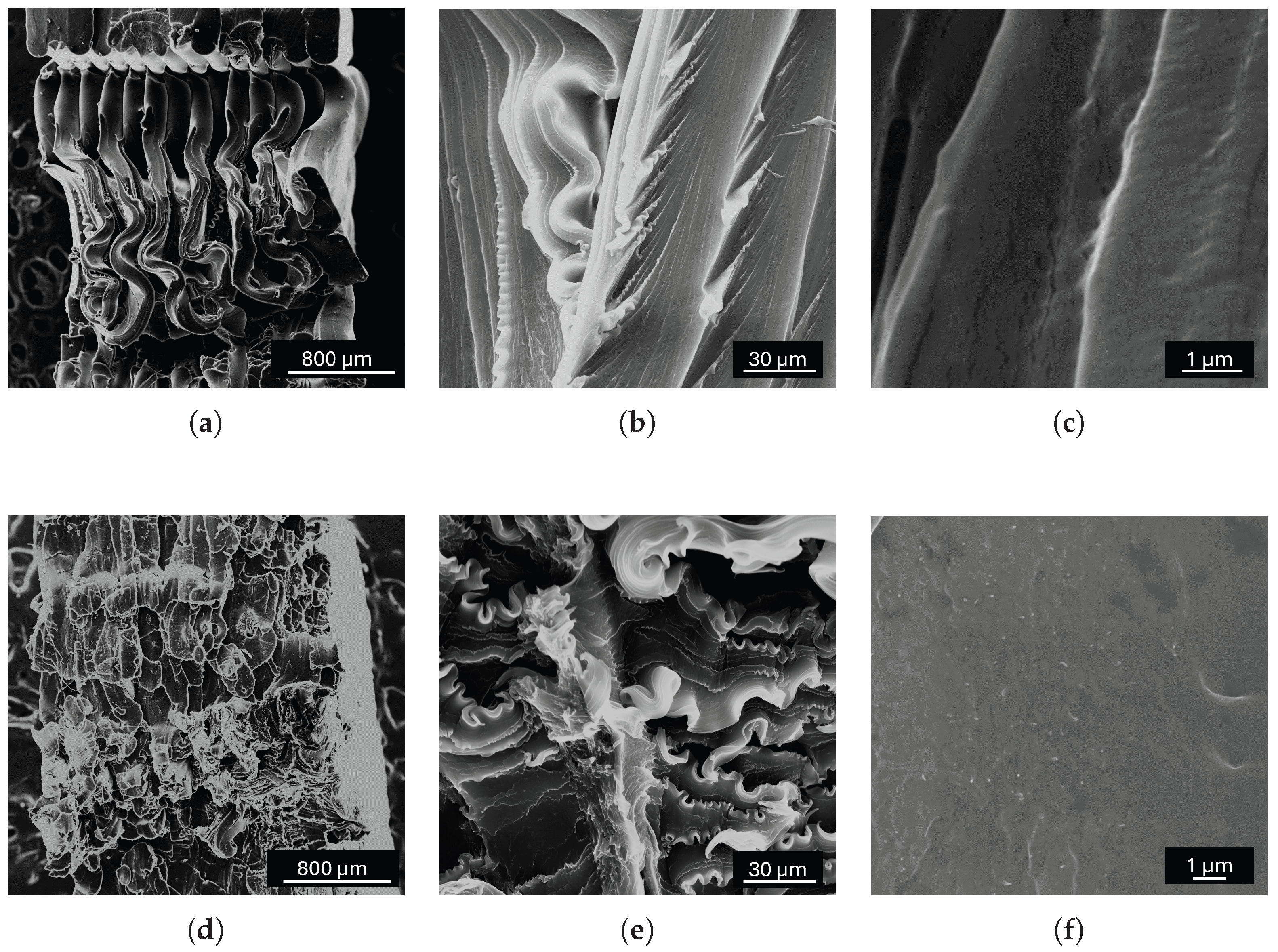 Engproc 85 00018 g006