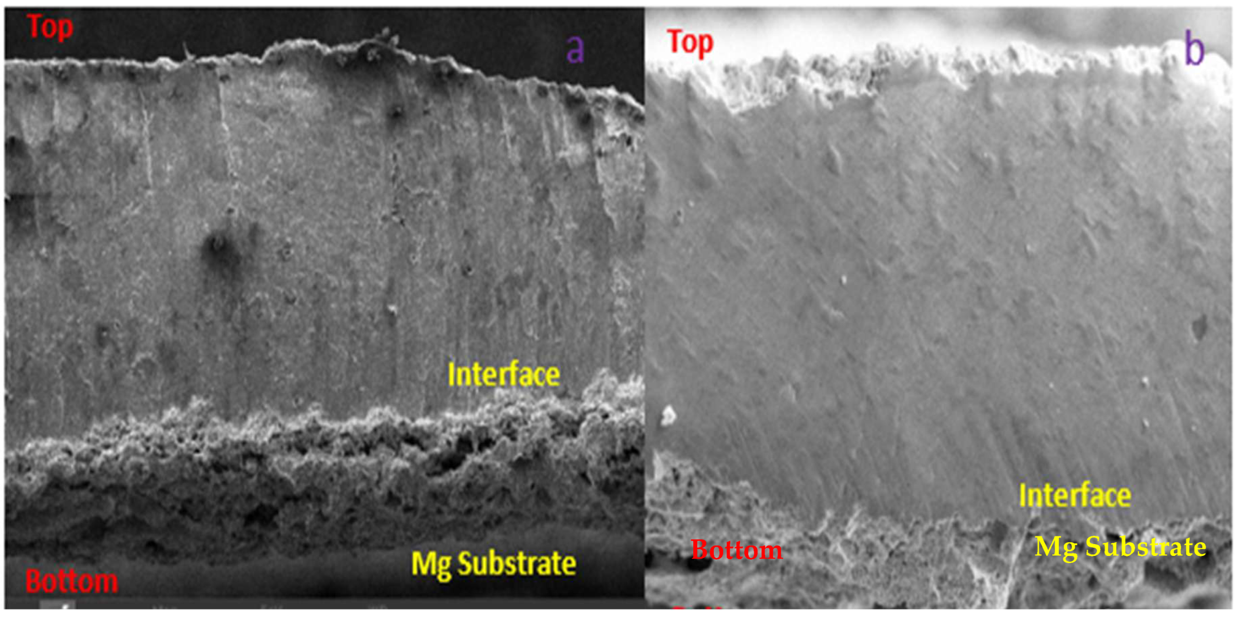 Engproc 85 00035 g003