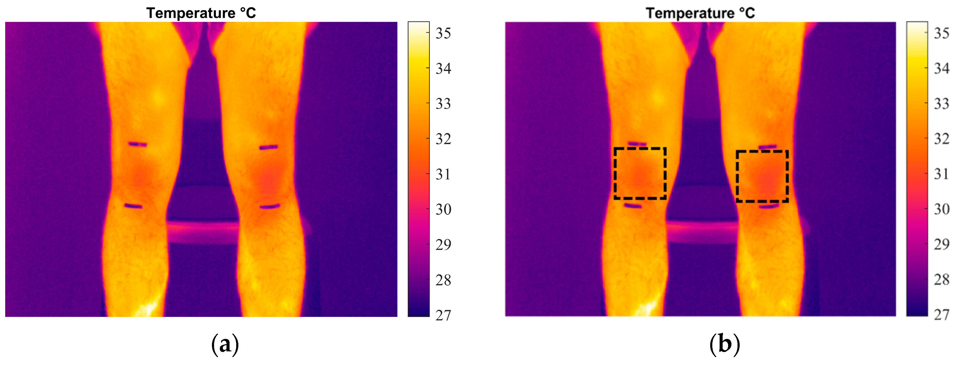 Engproc 85 00043 g001