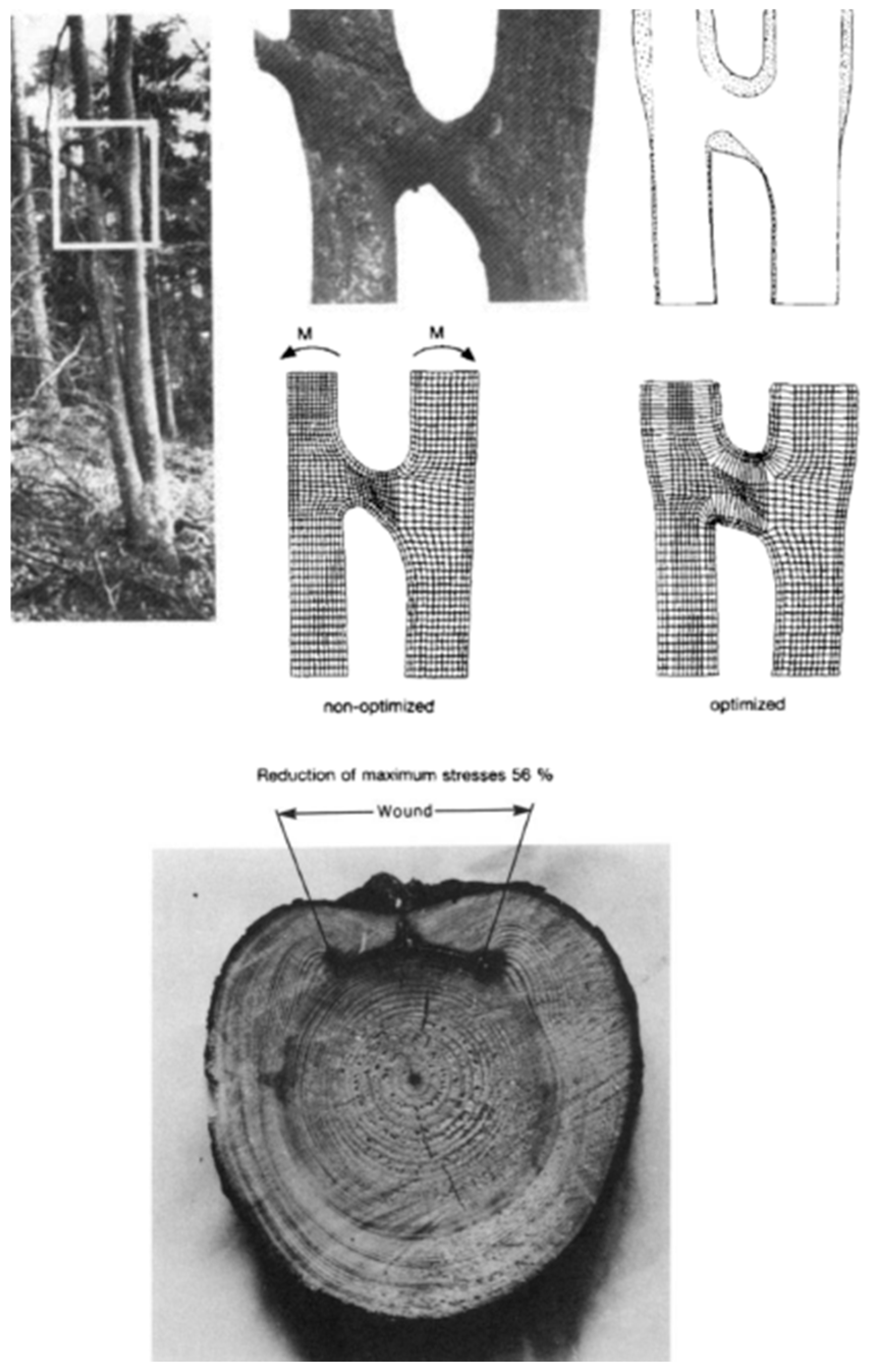 Engproc 85 00044 g003