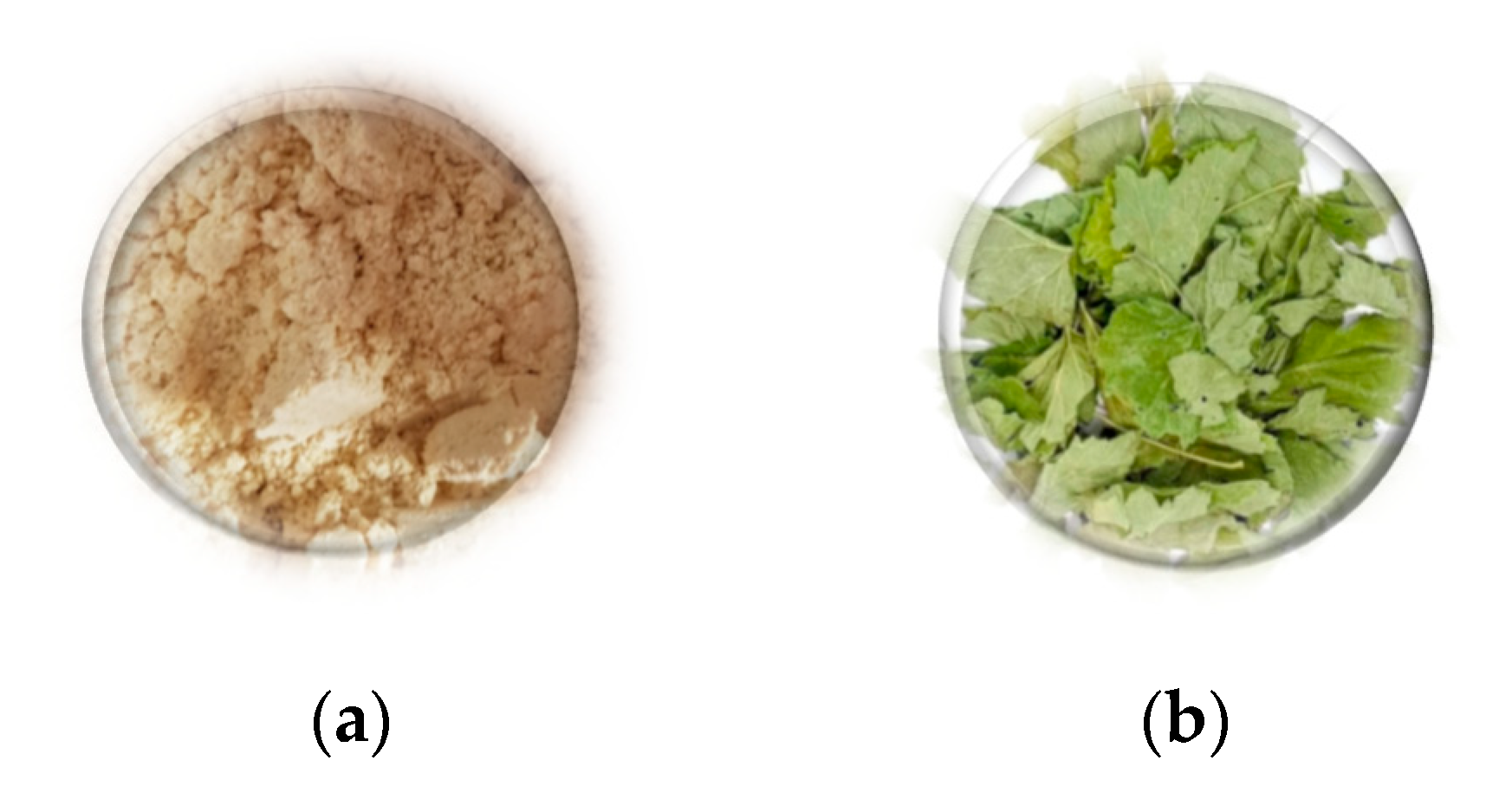 Engproc 87 00028 g001