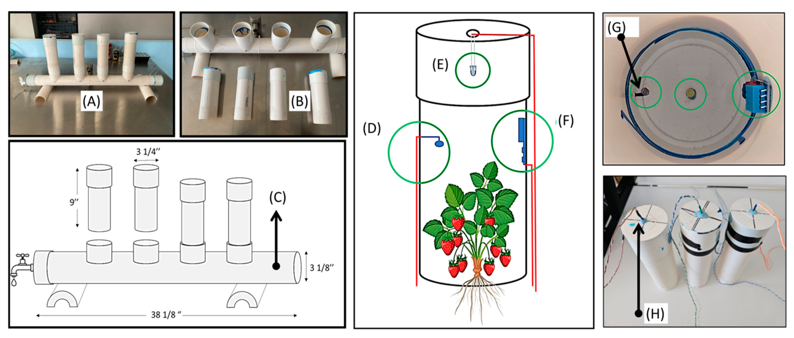 Engproc 87 00044 g001