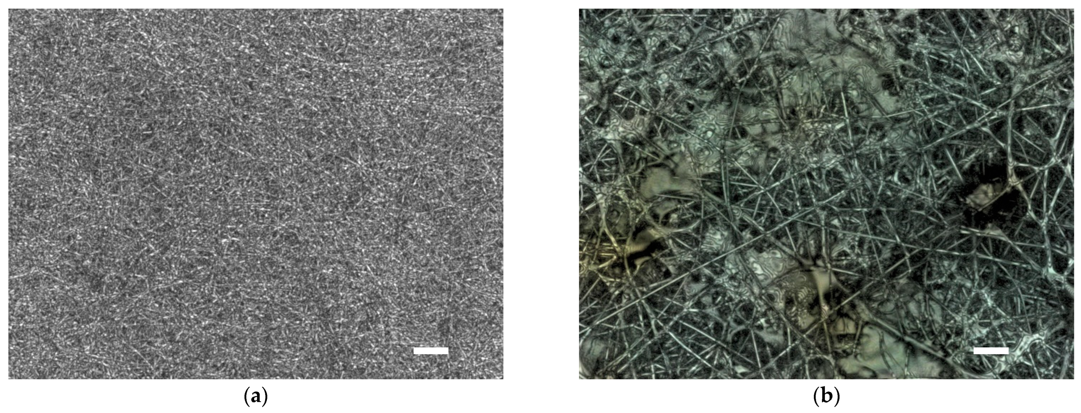 Engproc 87 00045 g001