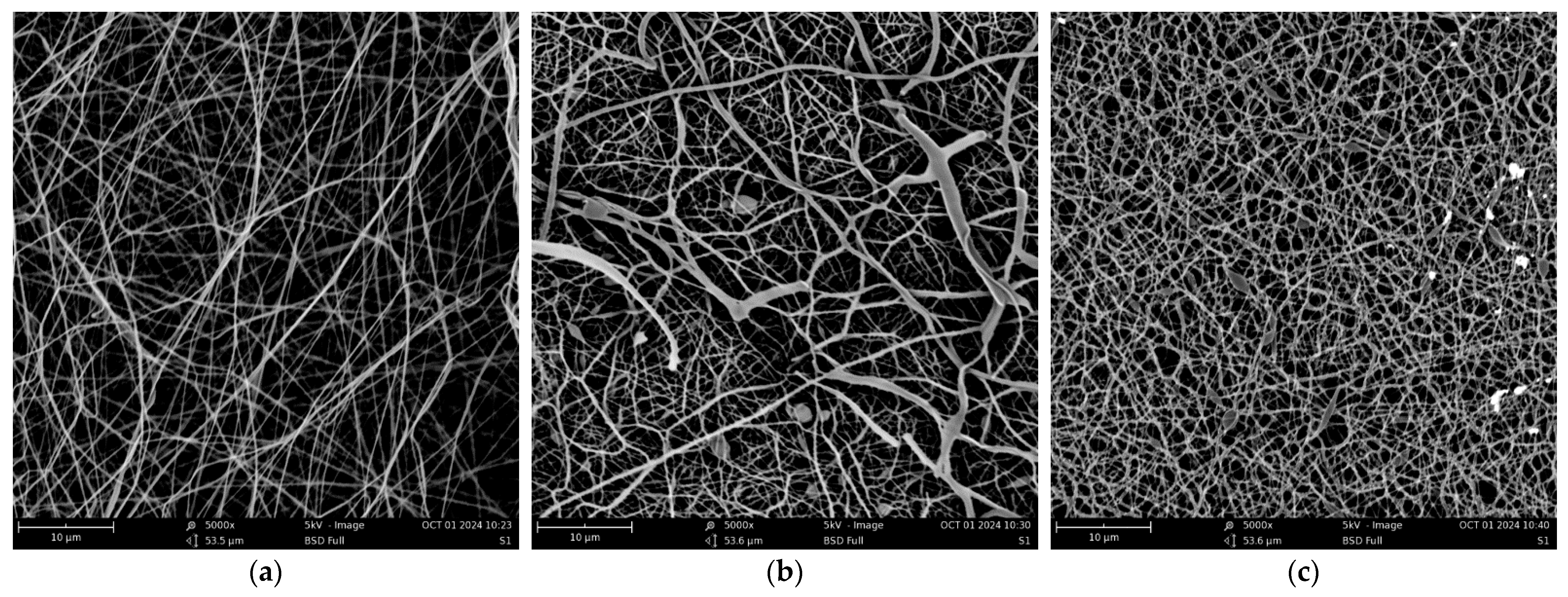 Engproc 87 00045 g002