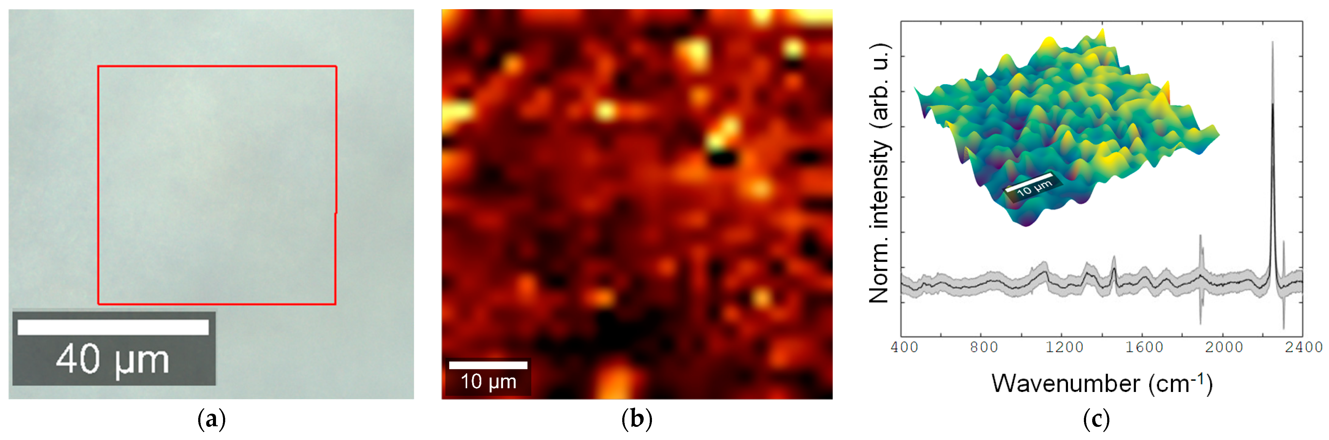 Engproc 87 00045 g005