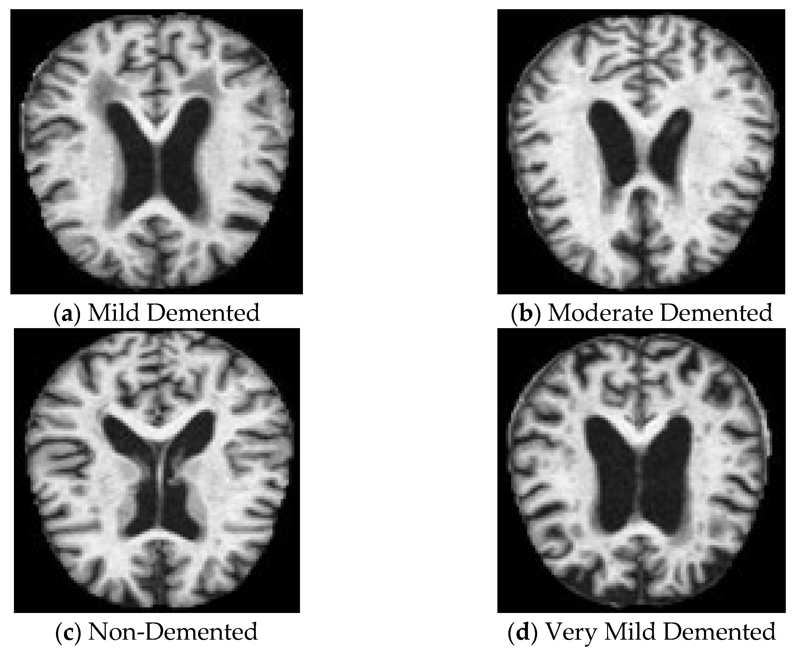 Engproc 87 00047 g001