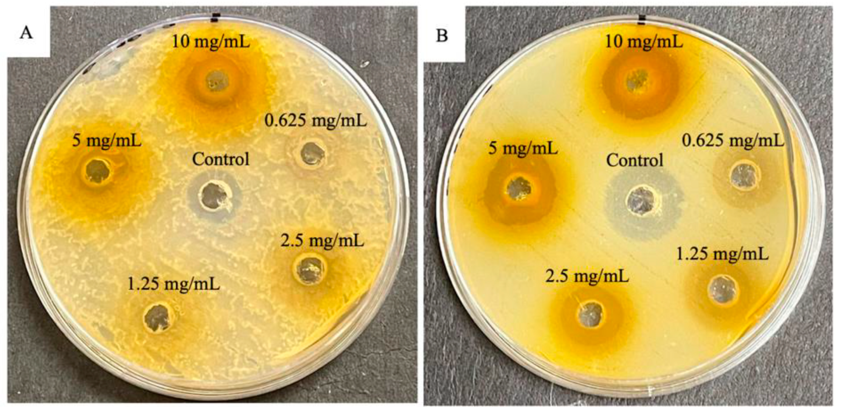 Engproc 87 00058 g002