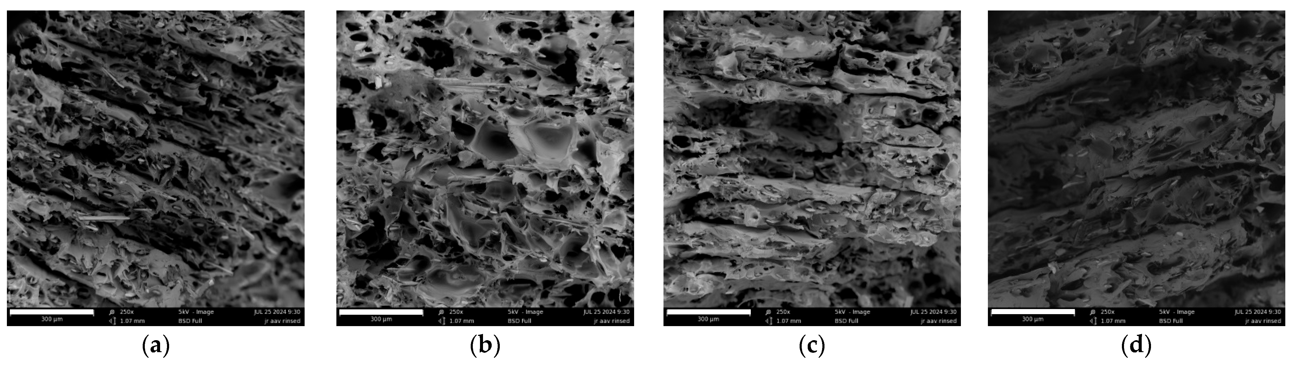 Engproc 87 00063 g004 Engproc 87 00063 g004