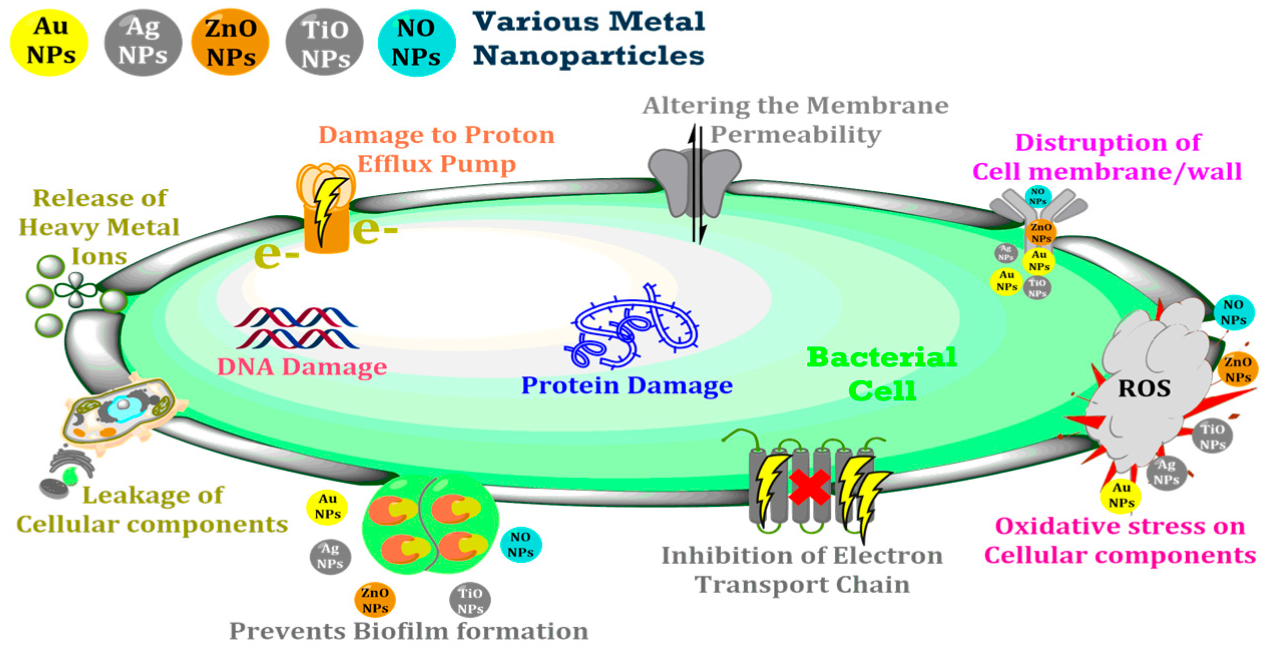 Engproc 87 00069 g001