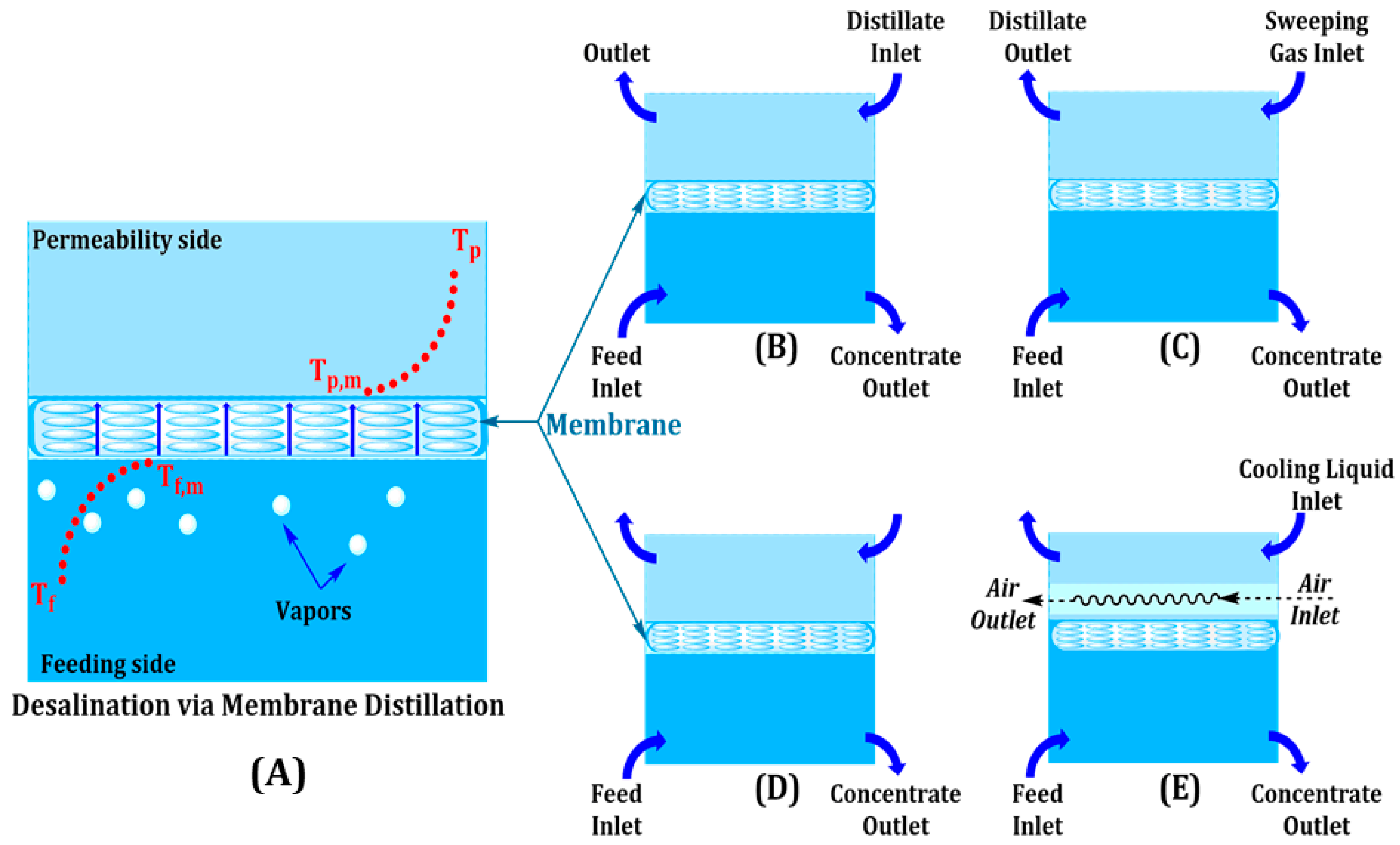 Engproc 87 00069 g003