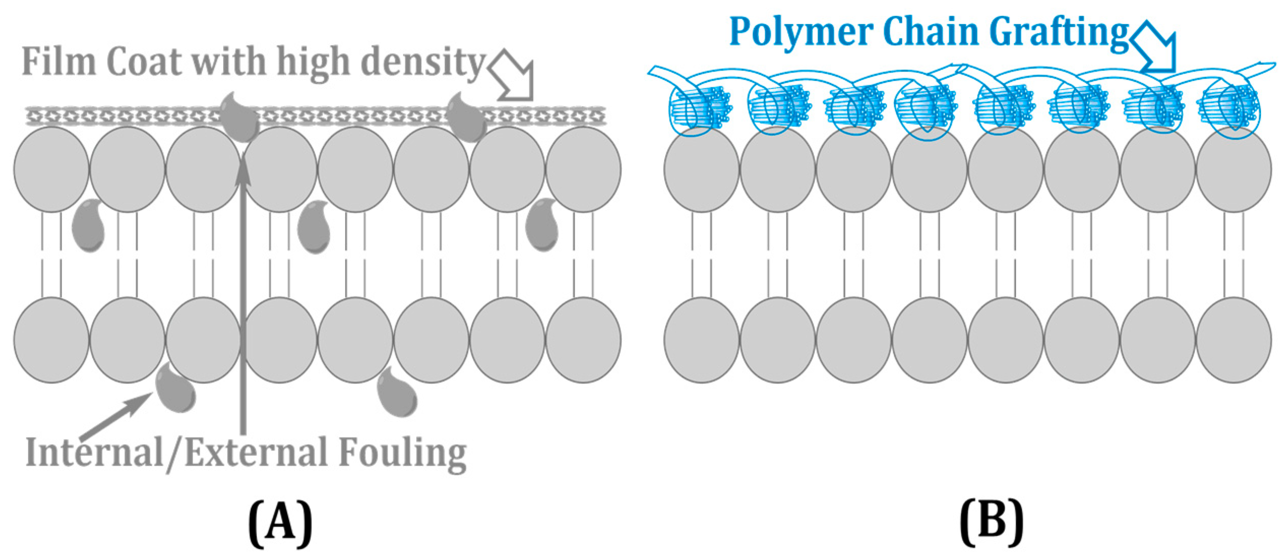 Engproc 87 00069 g004