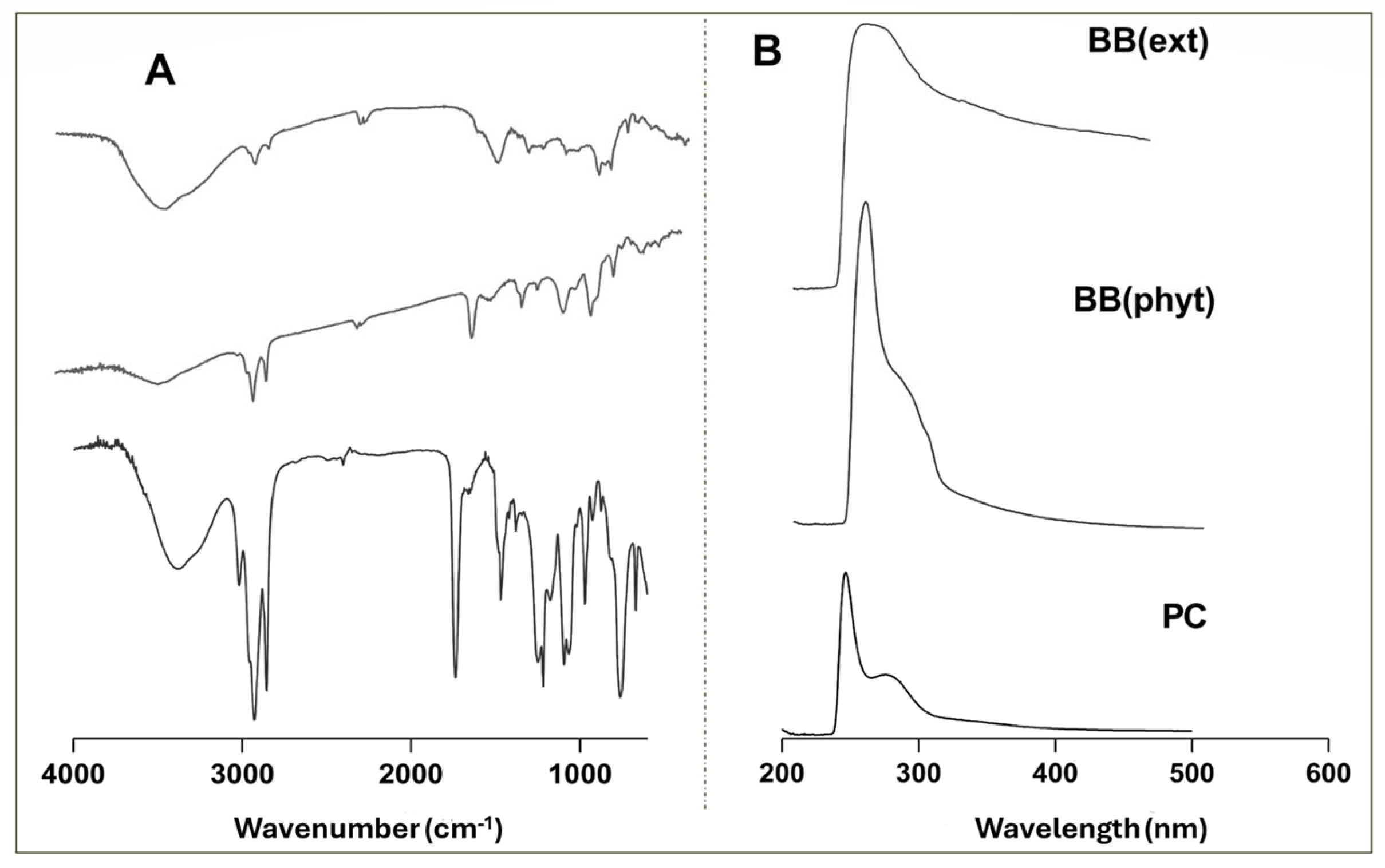 Engproc 87 00075 g002