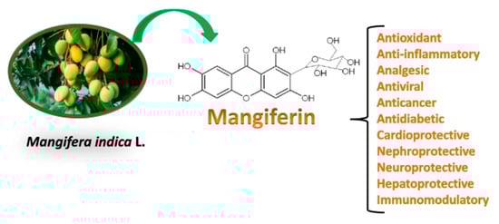 Engproc 87 00078 g001