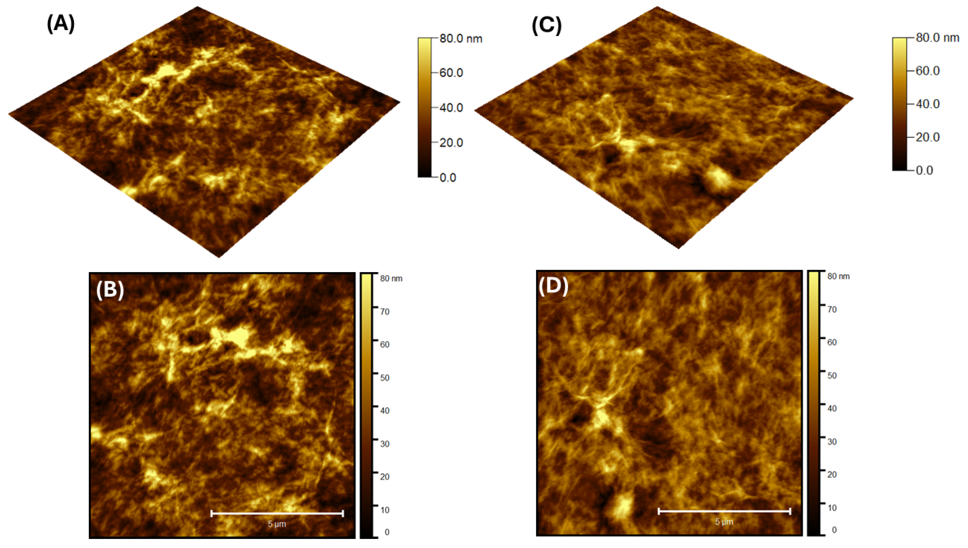 Engproc 87 00082 g001 Engproc 87 00082 g001