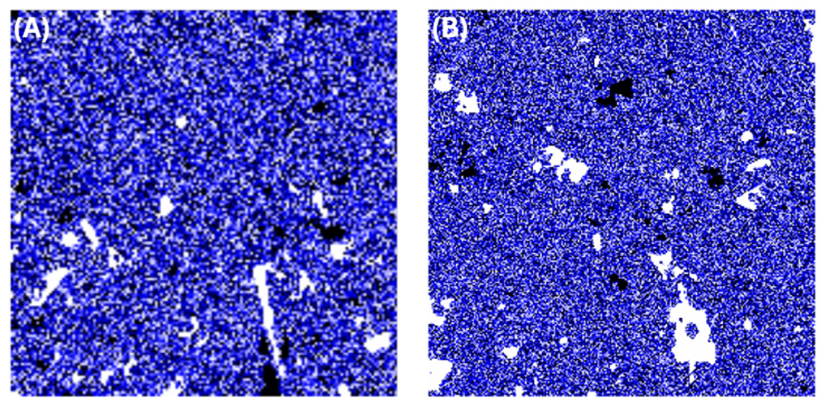 Engproc 87 00082 g002 Engproc 87 00082 g002