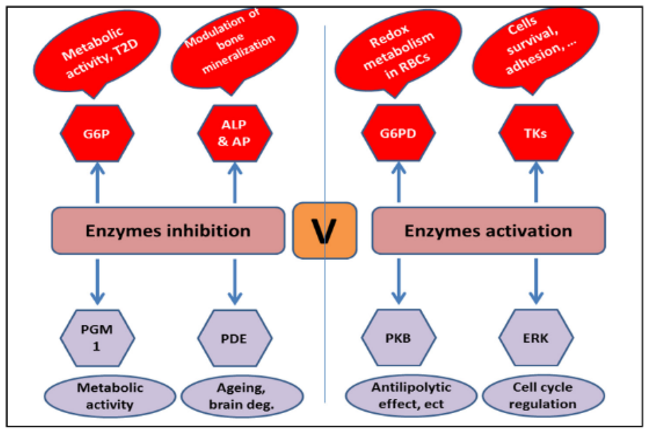 Engproc 87 00091 g002