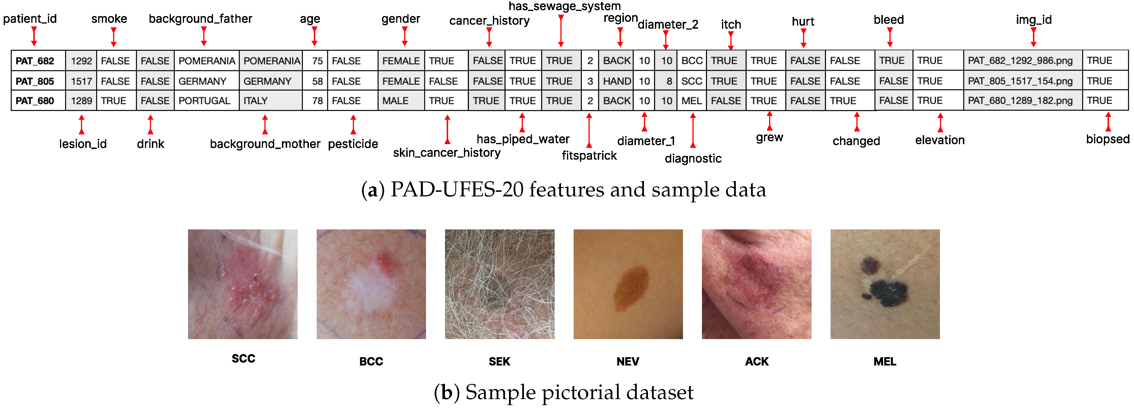 Engproc 87 00115 g002