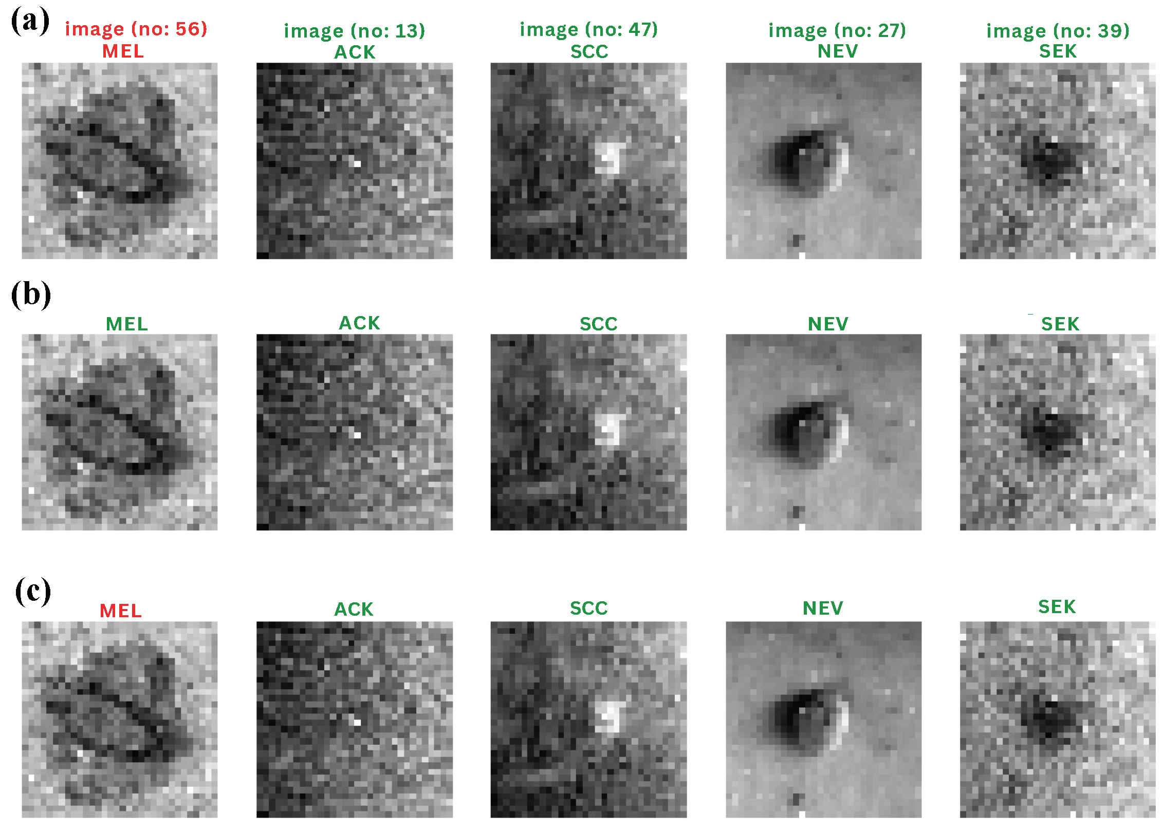 Engproc 87 00115 g004