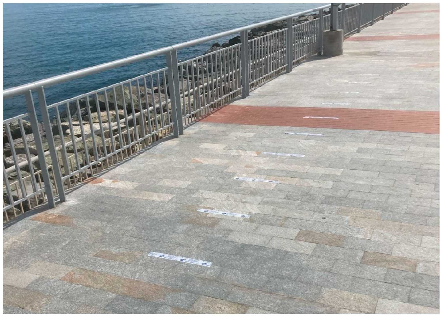 Engproc 88 00044 g002