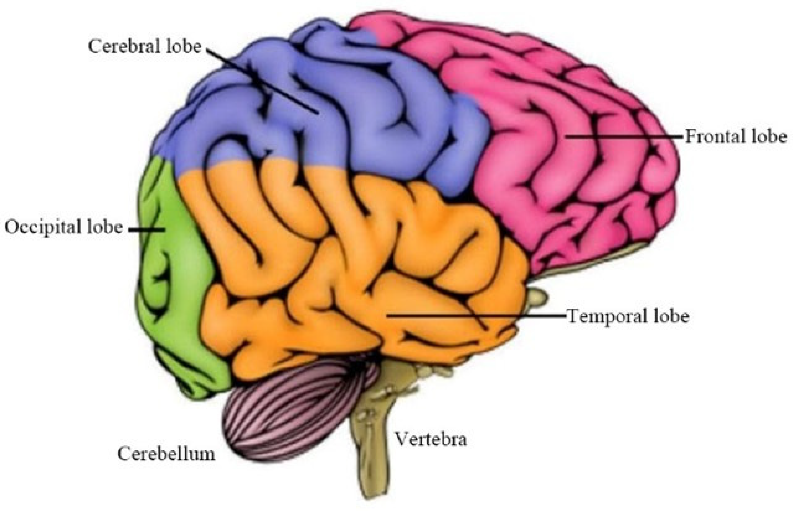 Engproc 89 00016 g001