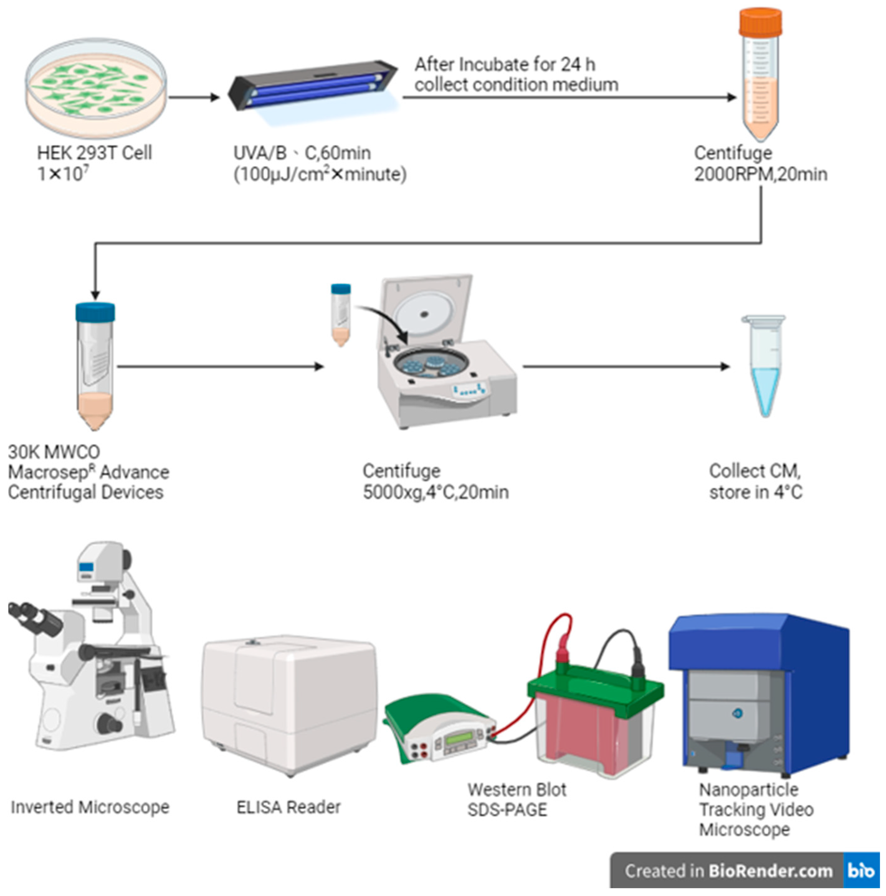 Engproc 89 00039 g001