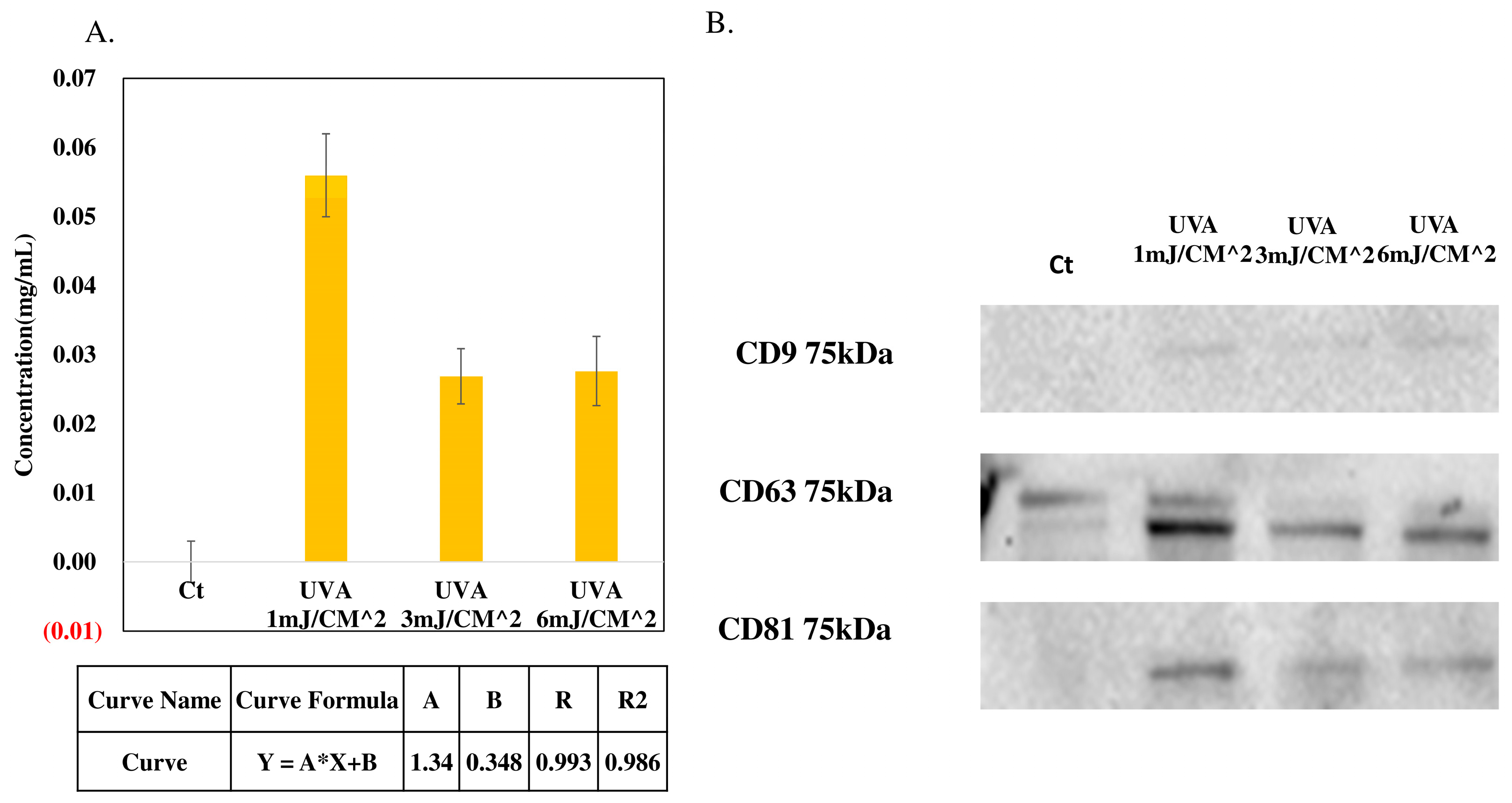 Engproc 89 00039 g004