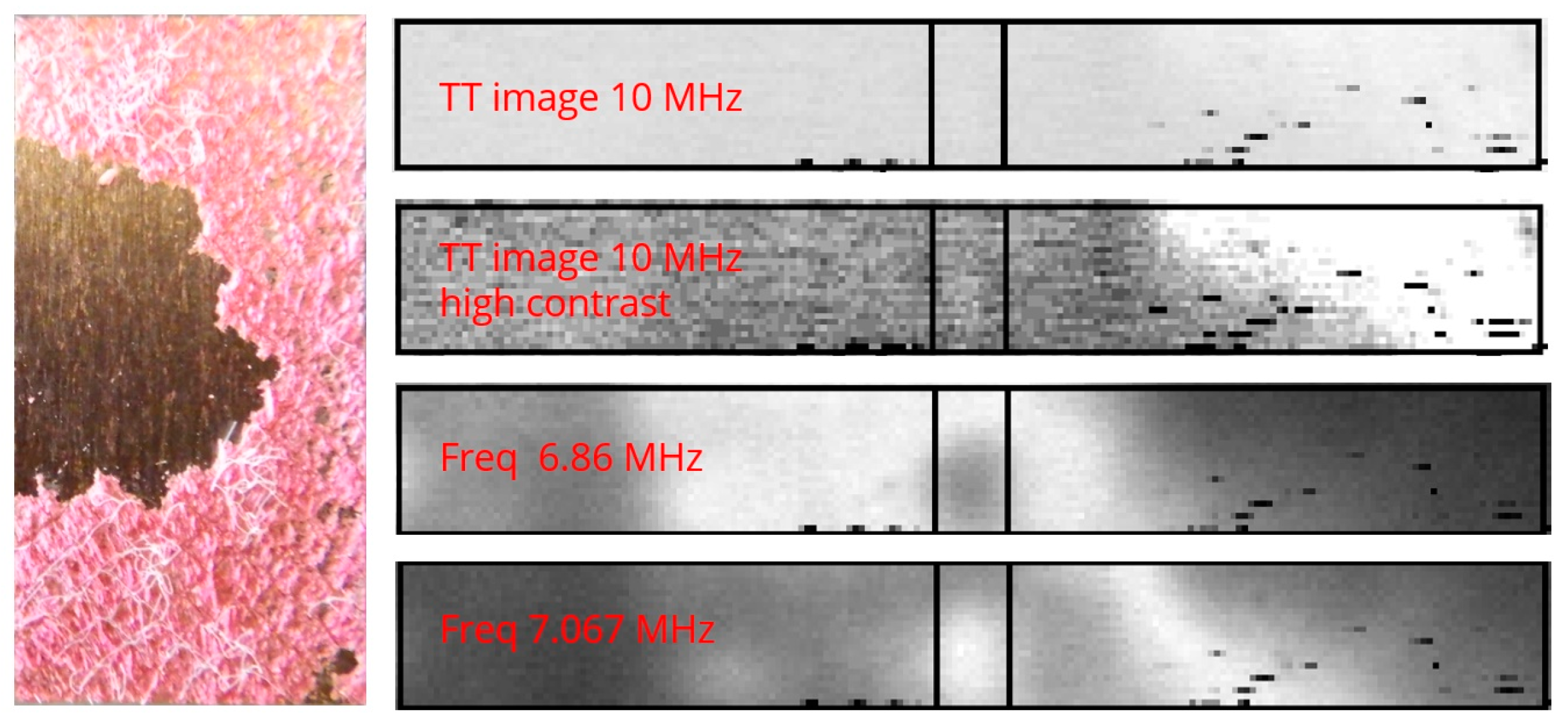 Engproc 90 00020 g010
