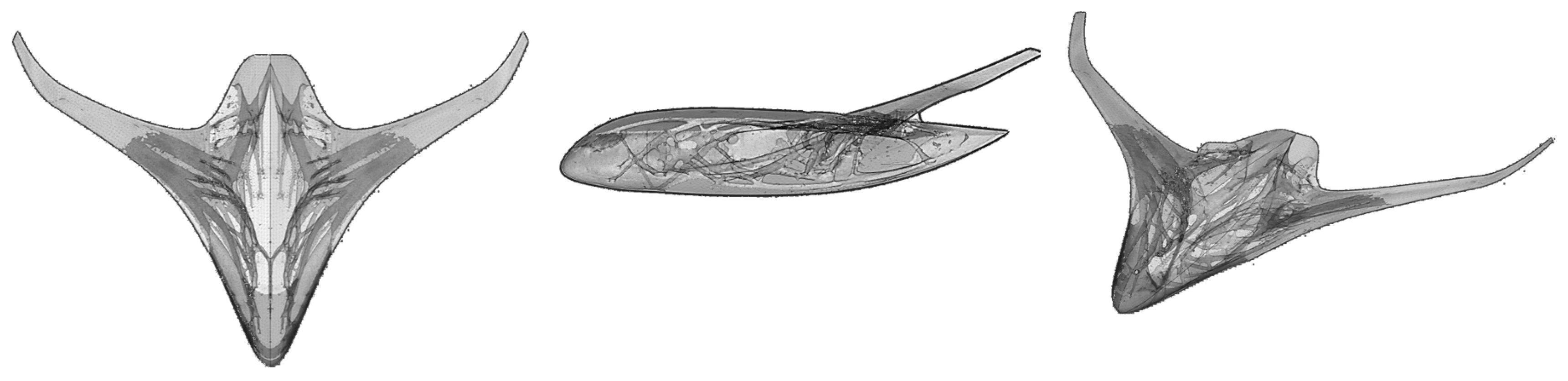 Engproc 90 00067 g007