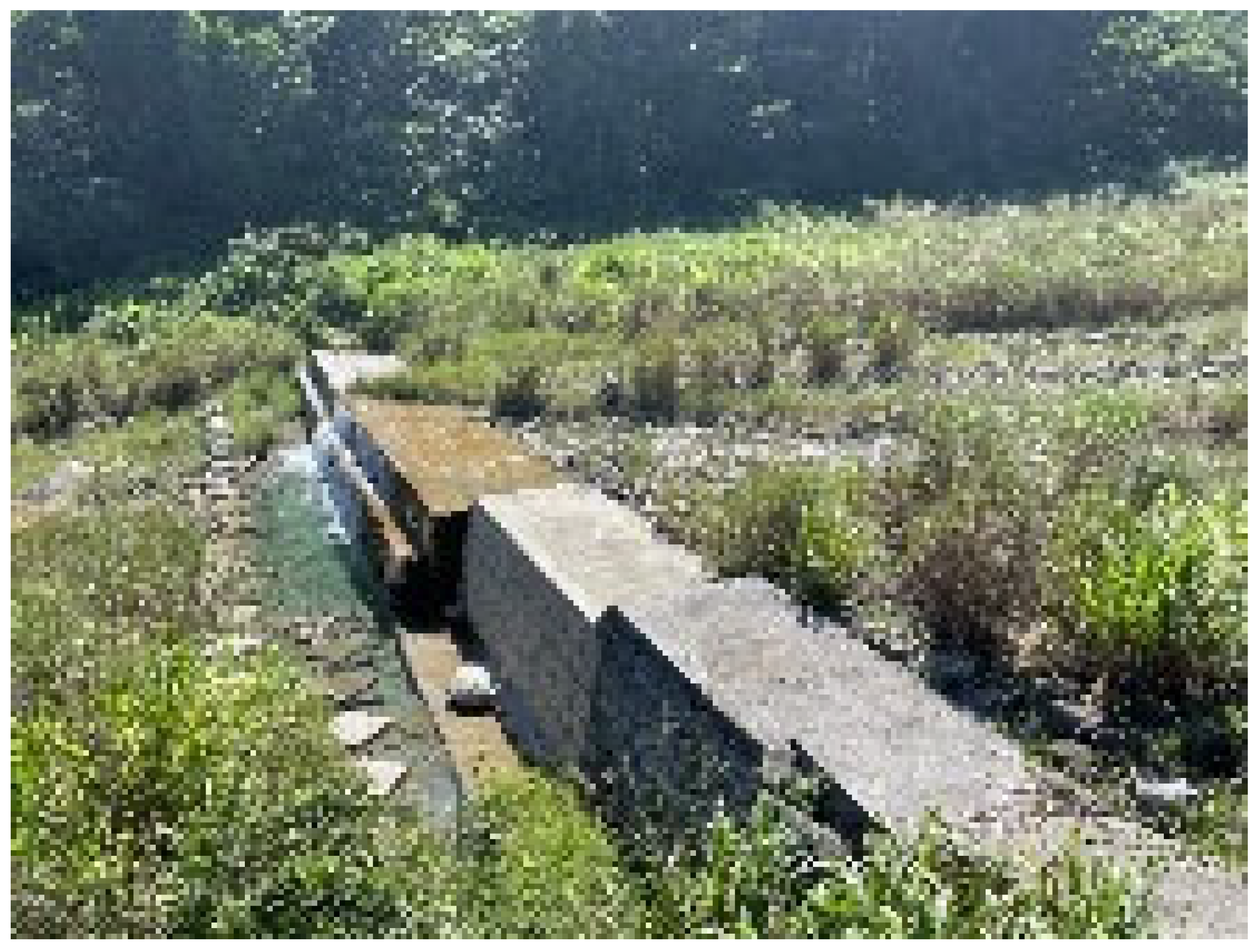 Engproc 91 00003 i002