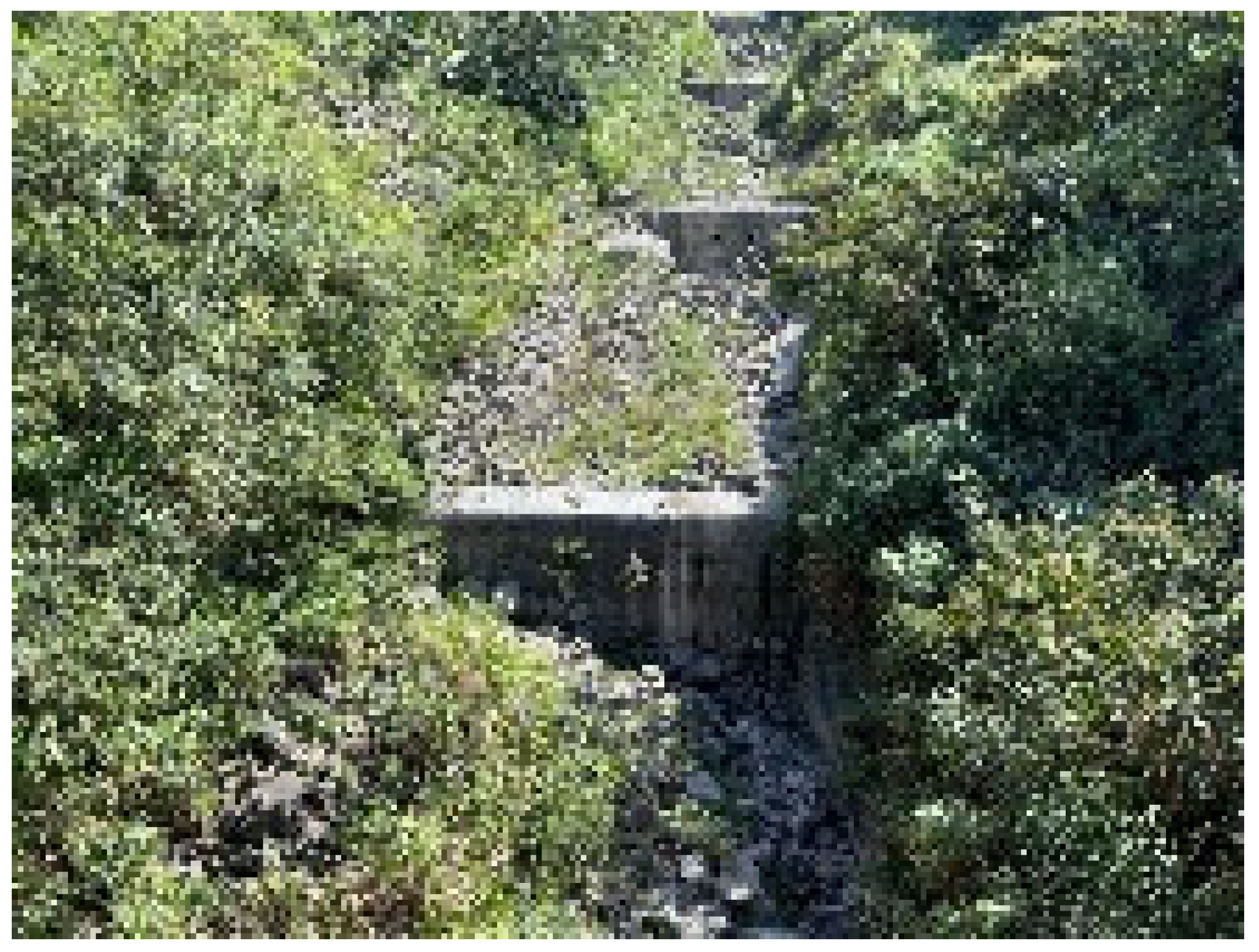 Engproc 91 00003 i003