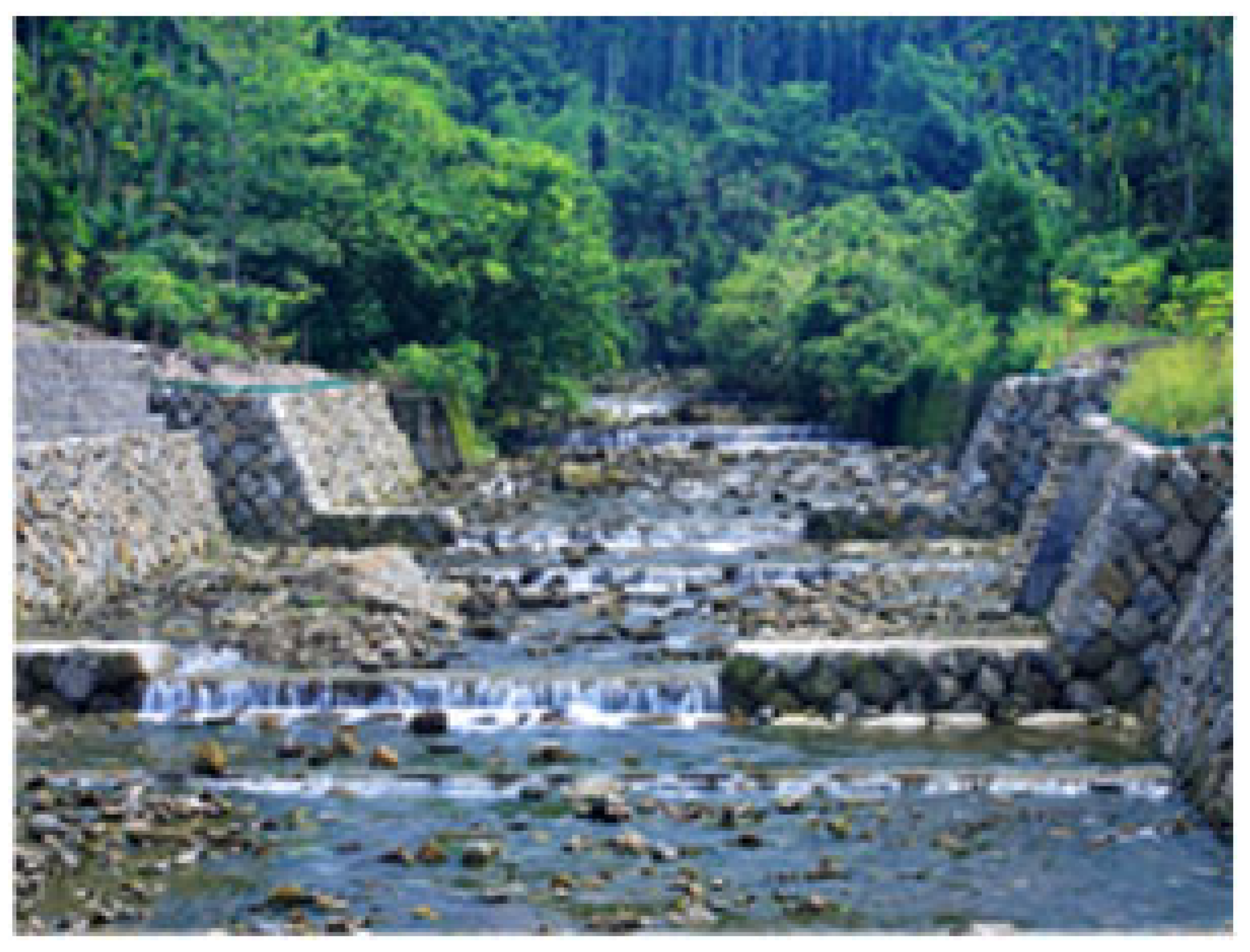 Engproc 91 00003 i005