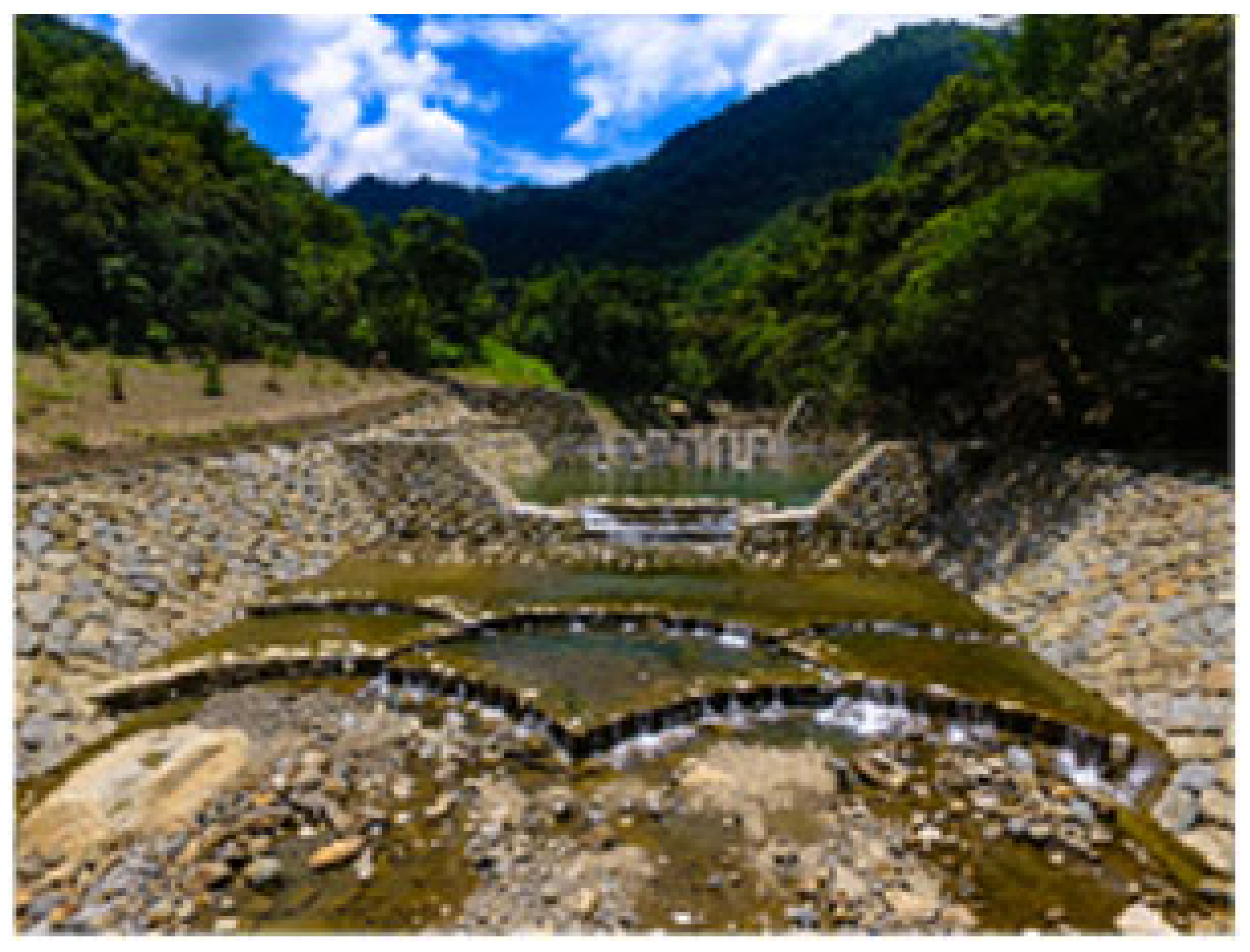 Engproc 91 00003 i008