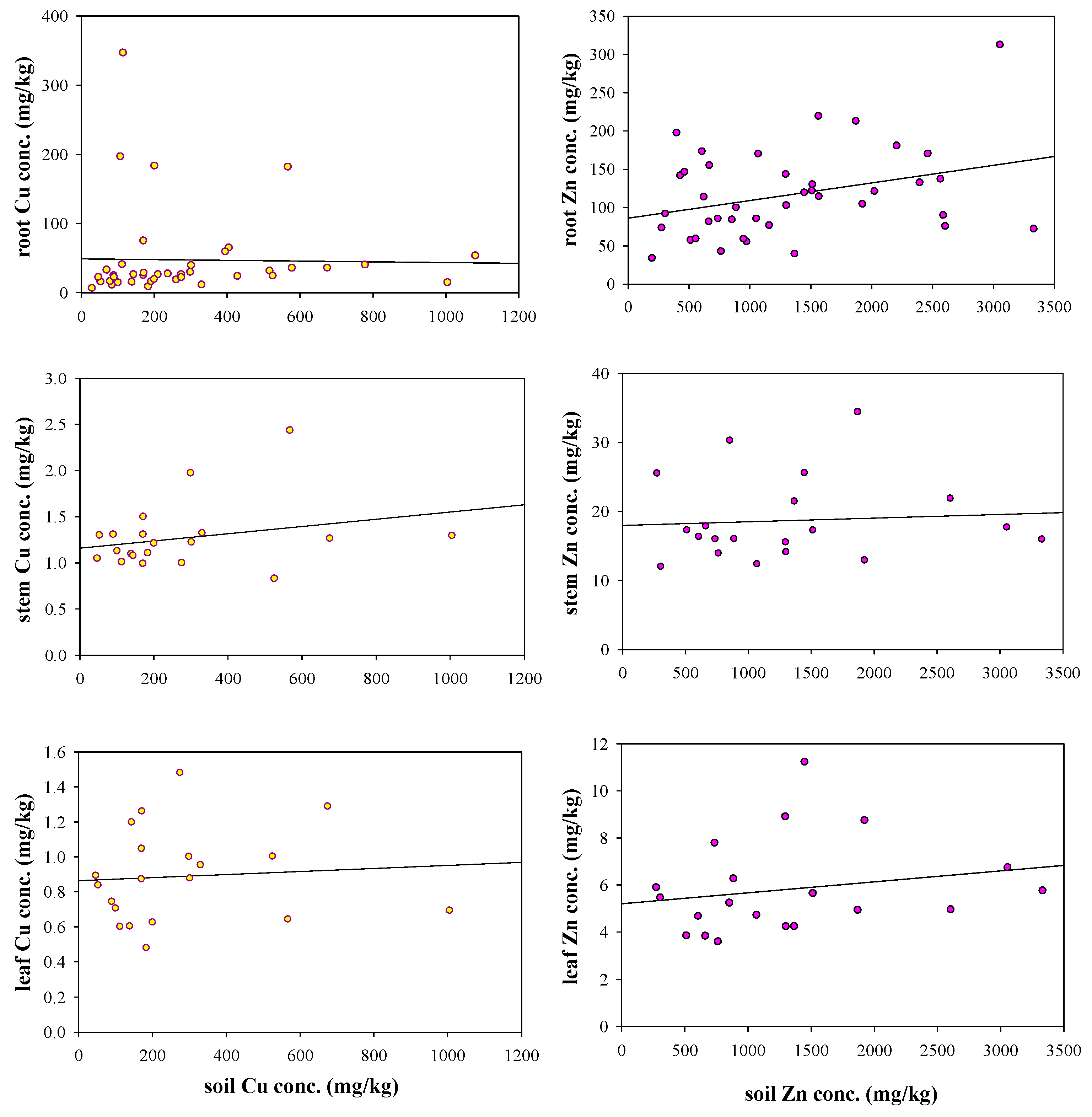 Engproc 91 00013 g003