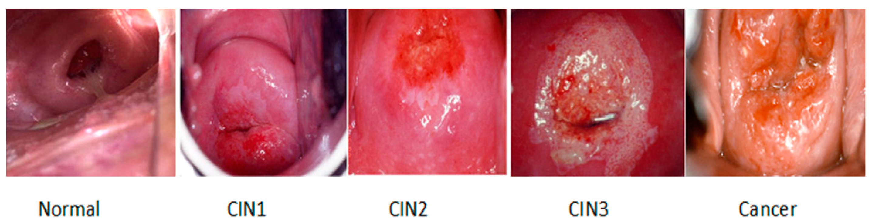 Engproc 92 00007 g001