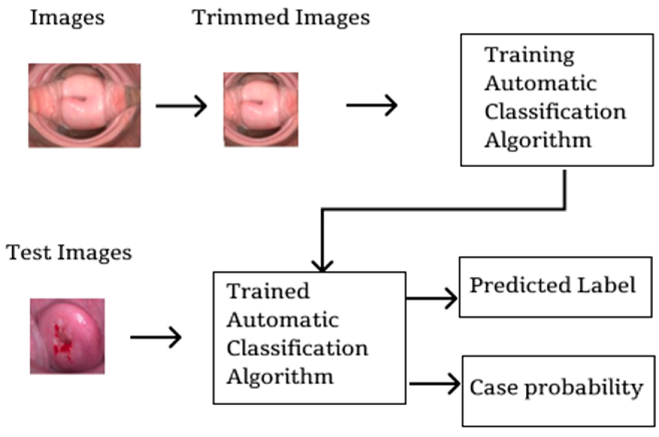 Engproc 92 00007 g002