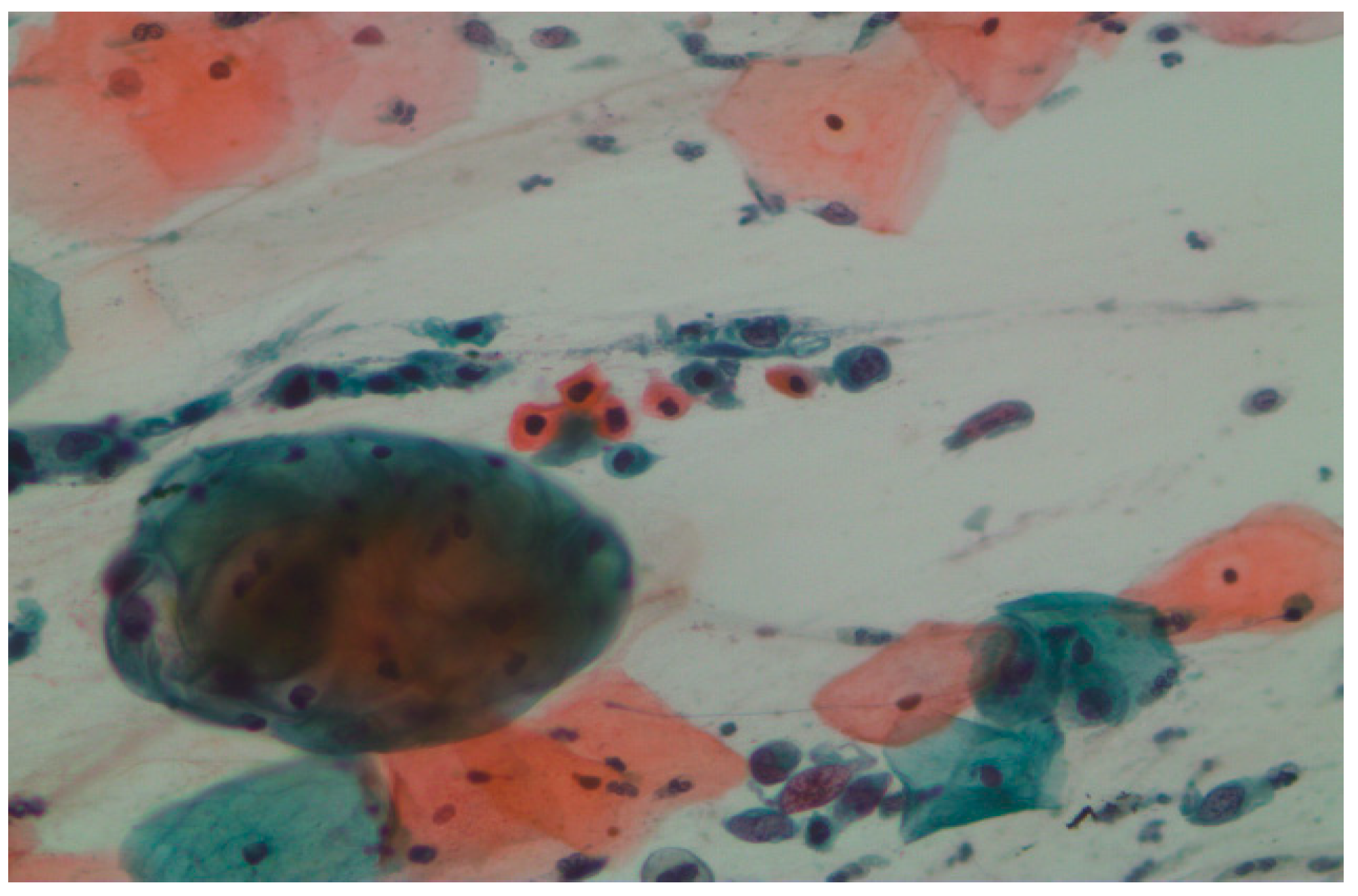 Engproc 92 00007 g003