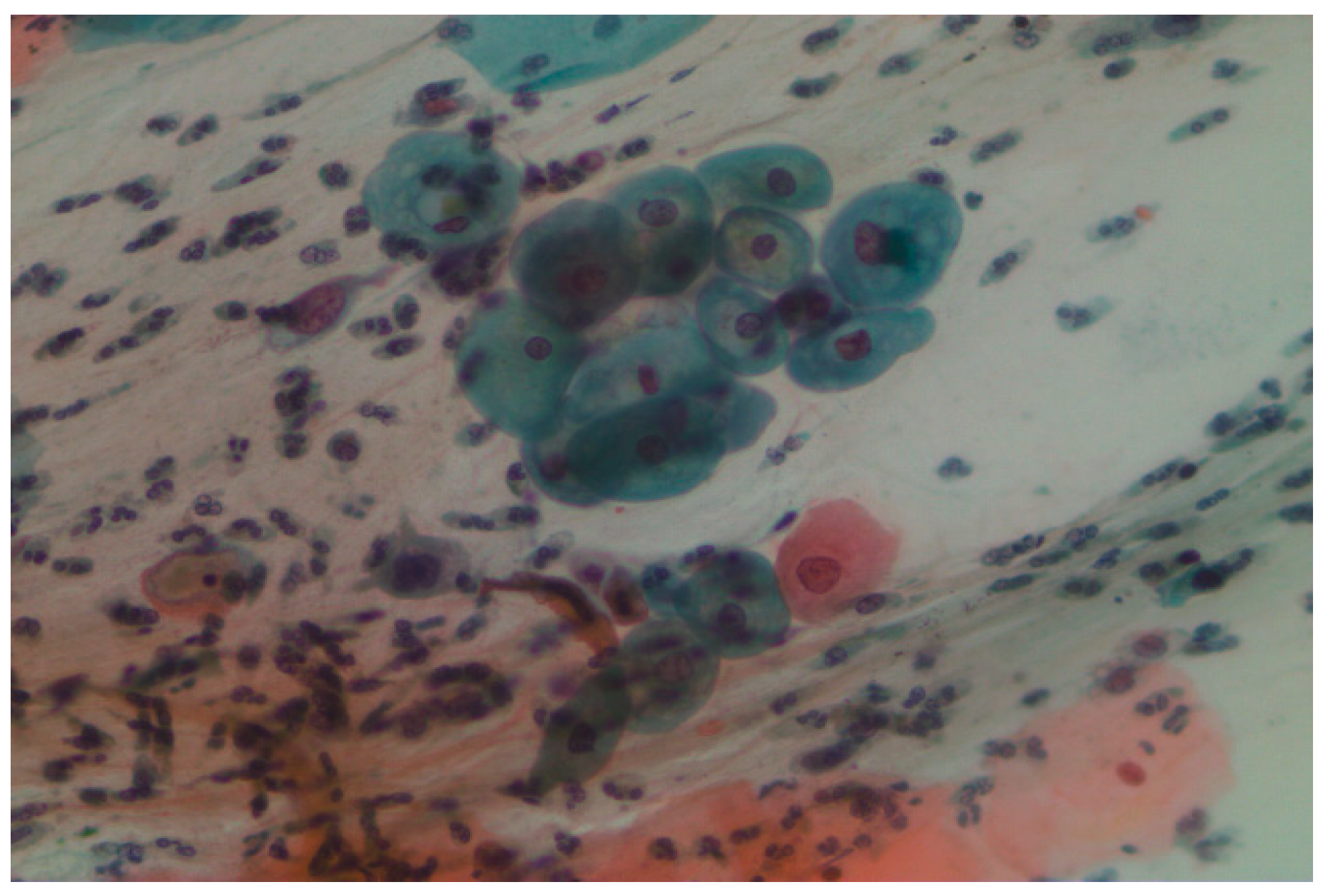 Engproc 92 00007 g005