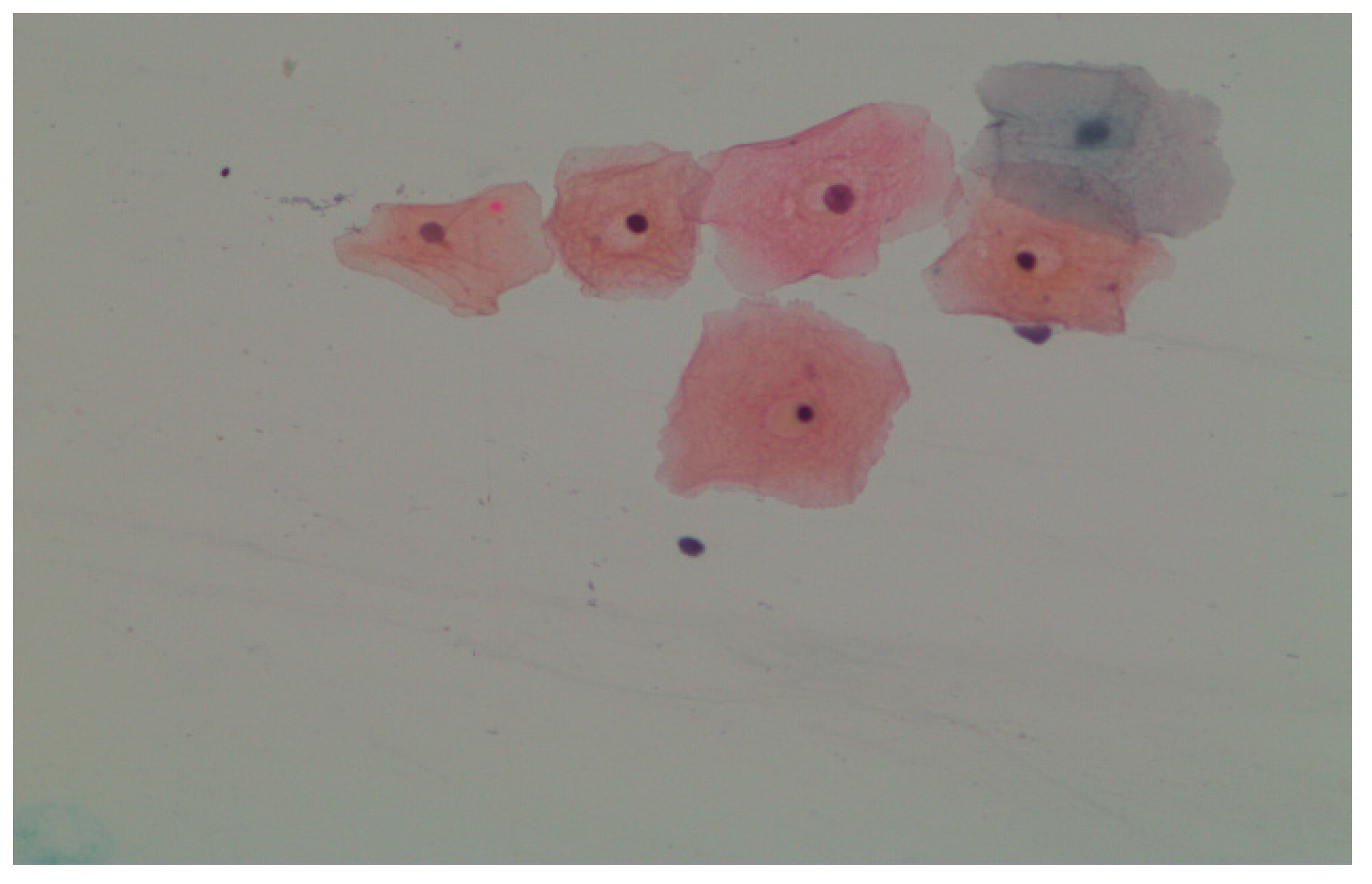 Engproc 92 00007 g006