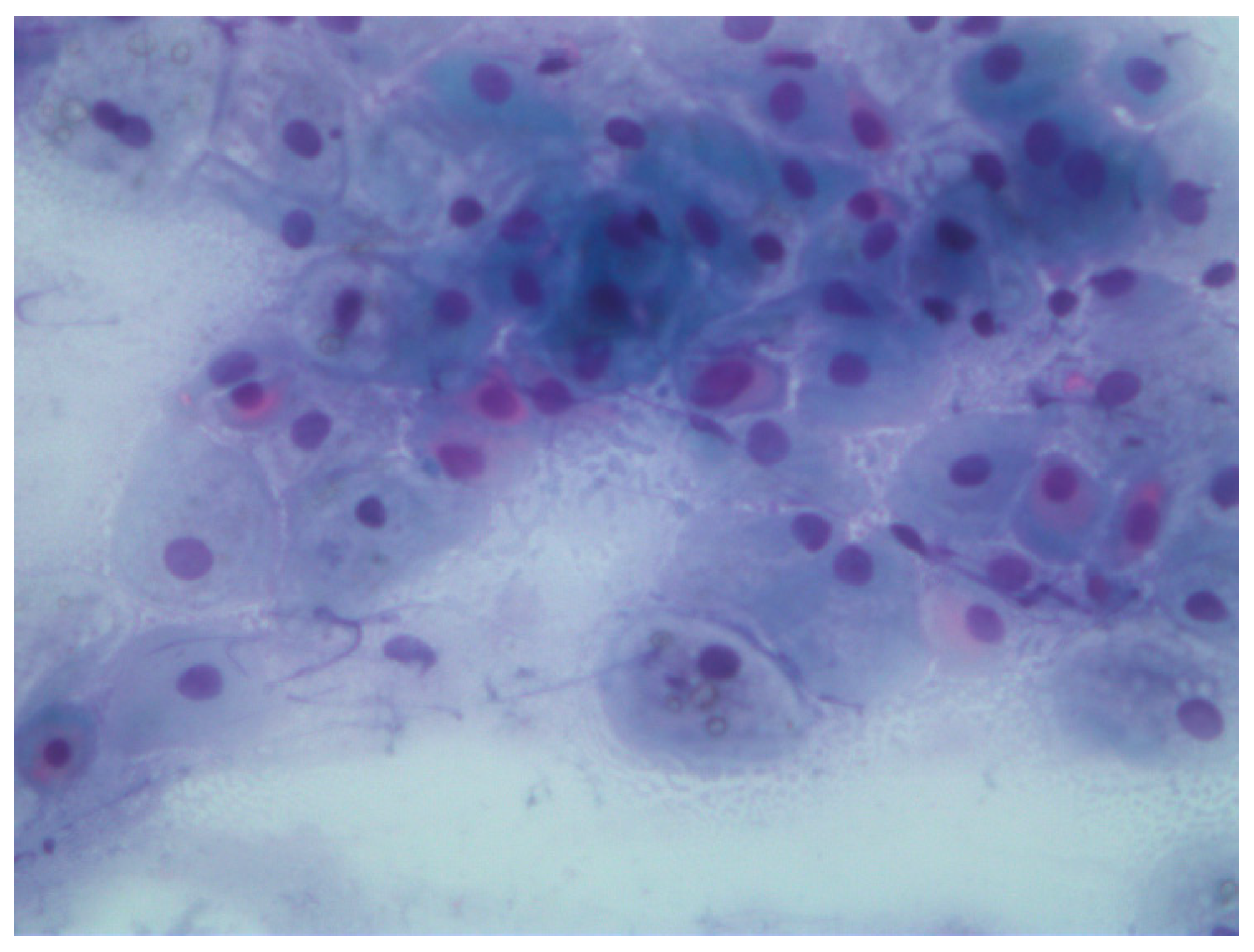 Engproc 92 00007 g007