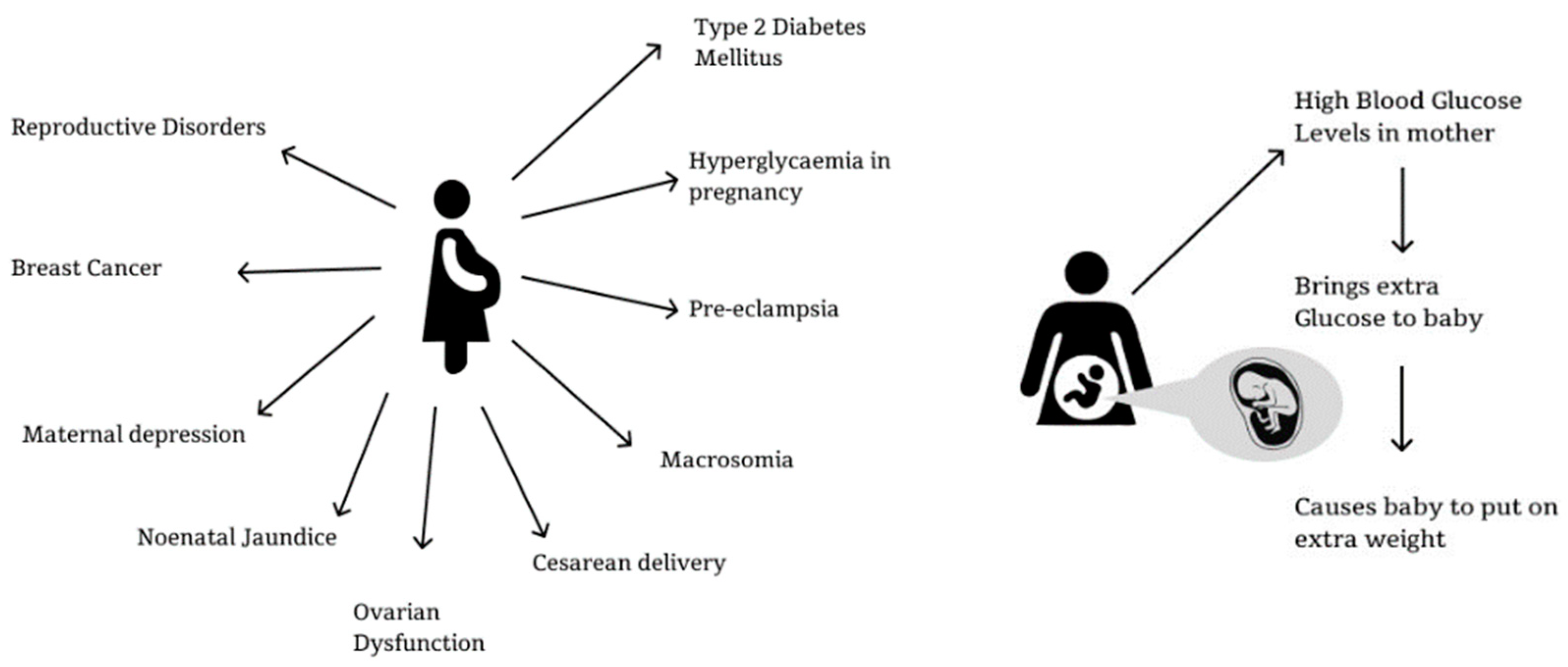 Engproc 92 00008 g001