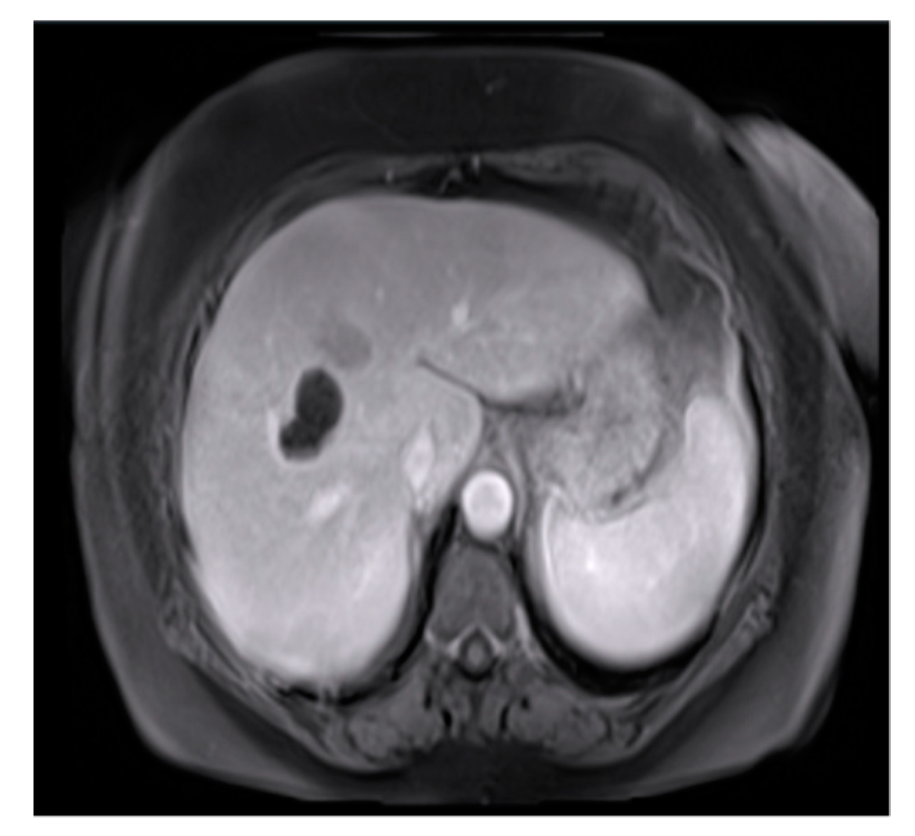 Engproc 92 00009 g003