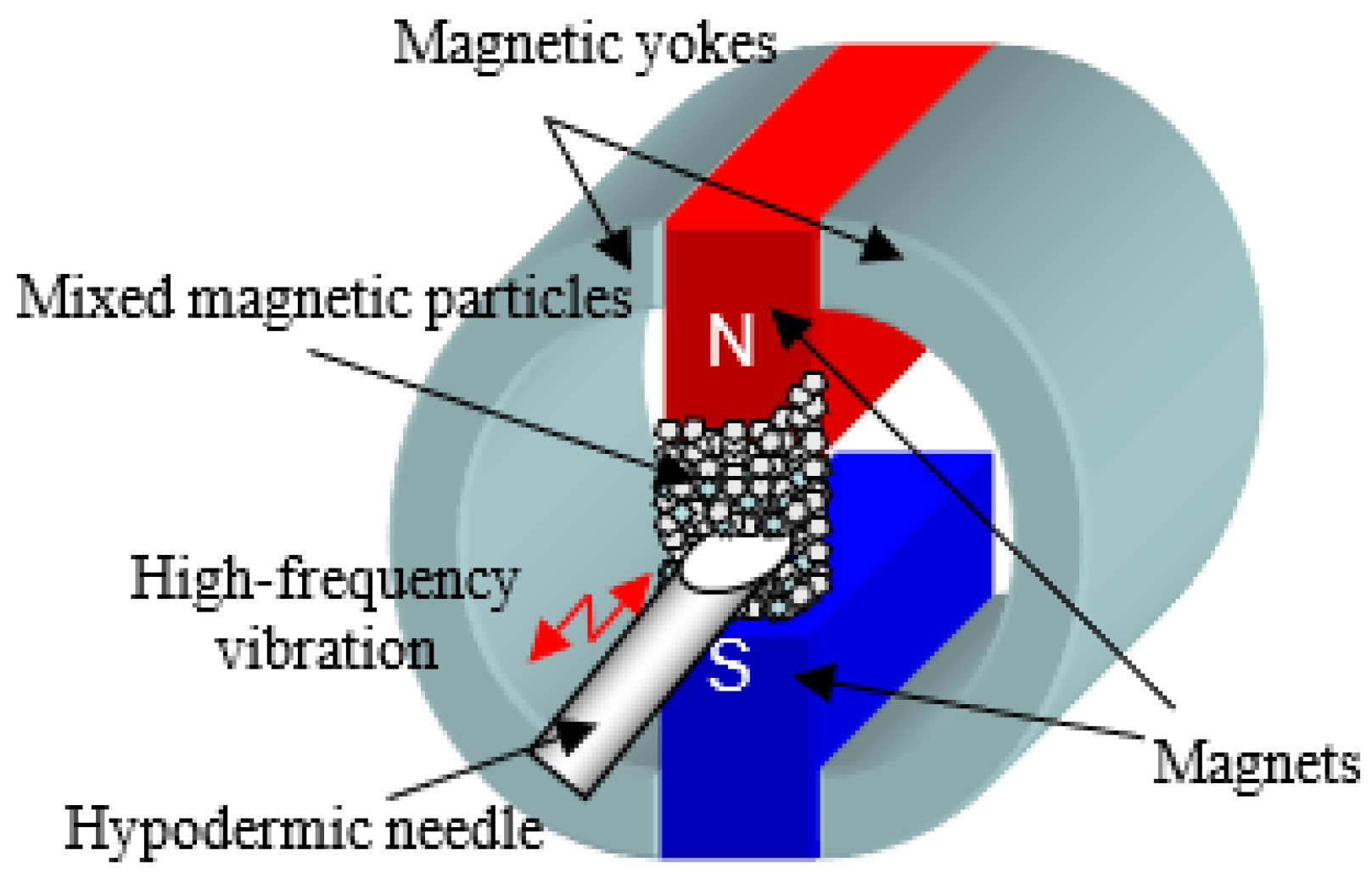 Engproc 92 00019 g001