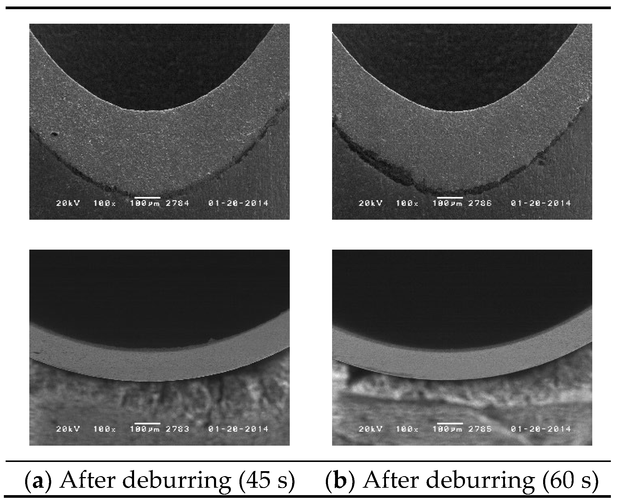 Engproc 92 00019 g008