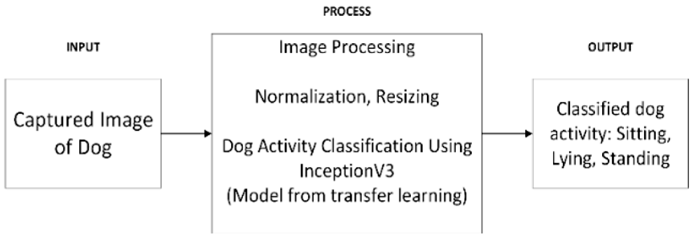 Engproc 92 00041 g001