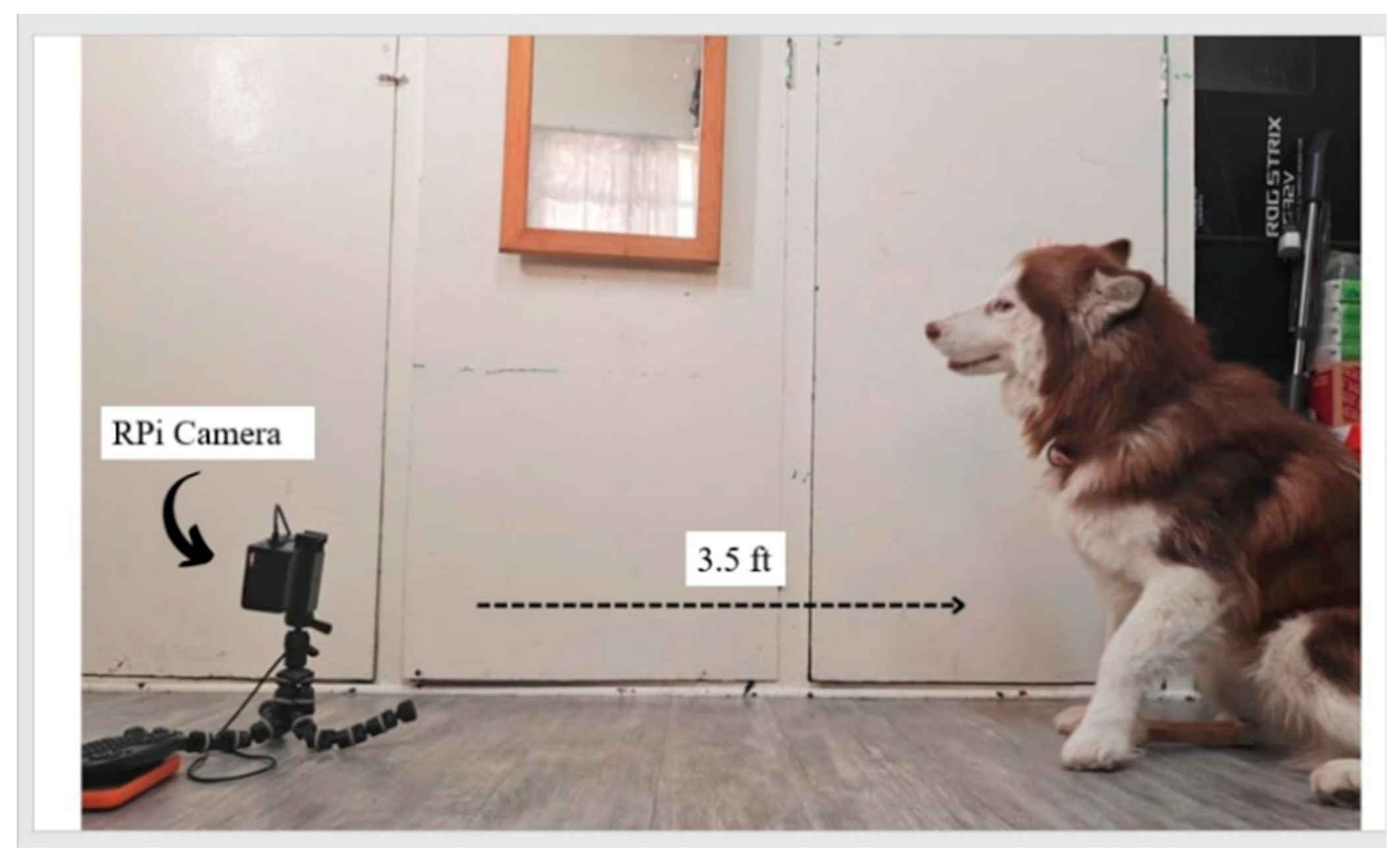 Engproc 92 00041 g004